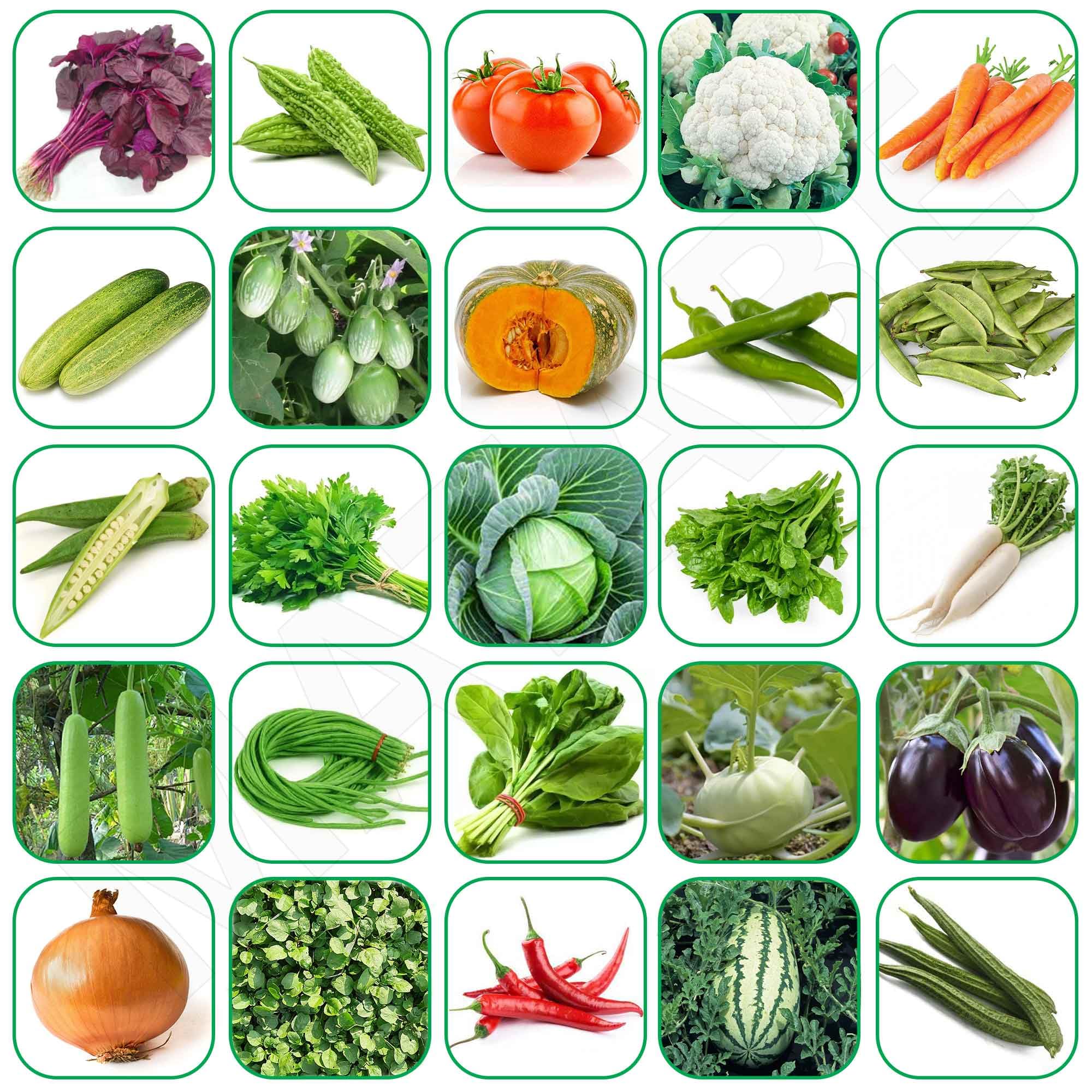 Different Types Of Indian Vegetables 720x1143