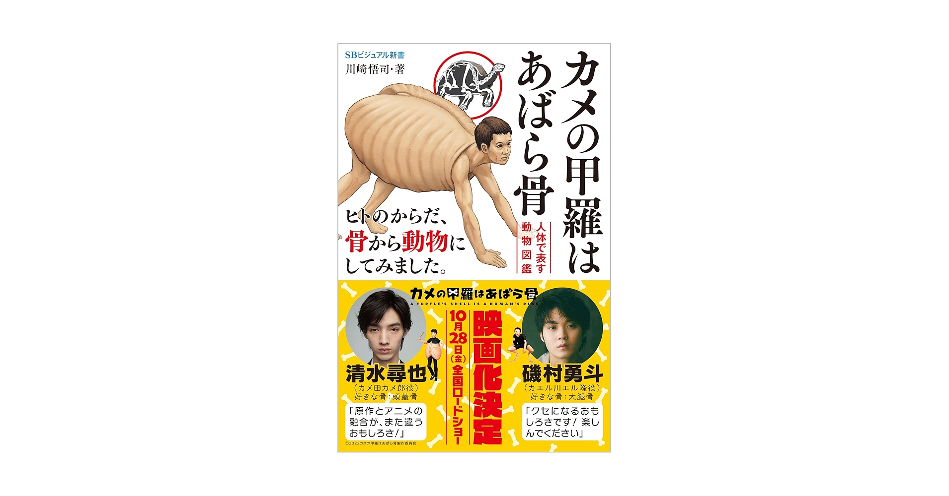 亀ページ Amazon.co.jp: カラフルパズルカメ 木製パズル 動物 数字