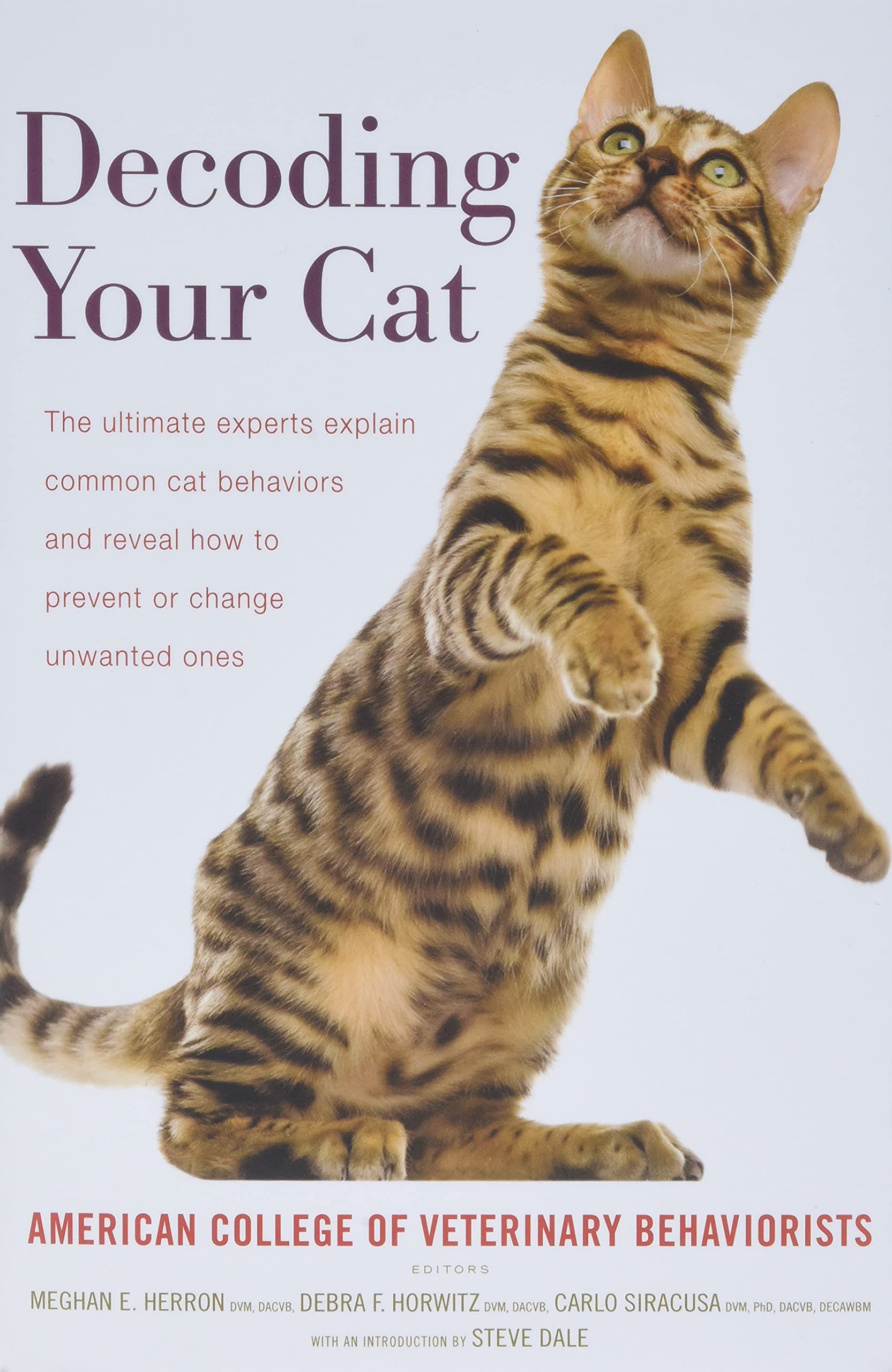 Buy Decoding Your Cat The Ultimate Experts Explain Common Cat