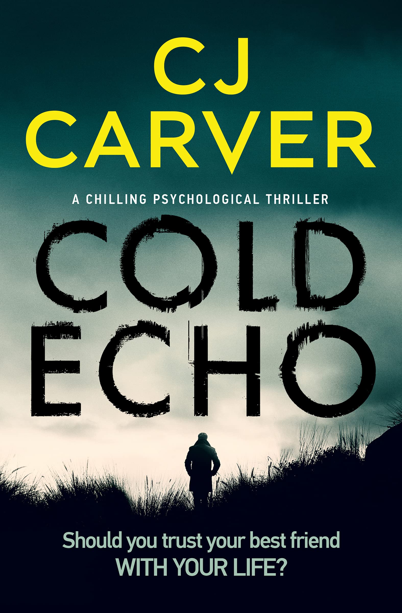 Cold Echo: a chilling psychological thriller: 1 (Harry Hope)