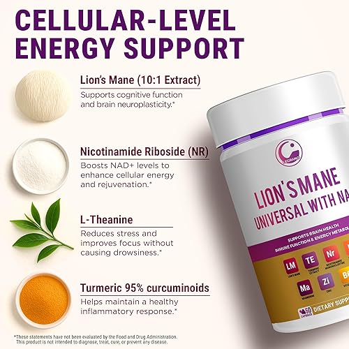 Miniatura 4 de LEGRANO Cápsulas de melena de león y suplemento NAD+ con ribósido de nicotinamida (NR), L-teanina, magnesio, zinc, vitamina B6 y cúrcuma - Fórmula
