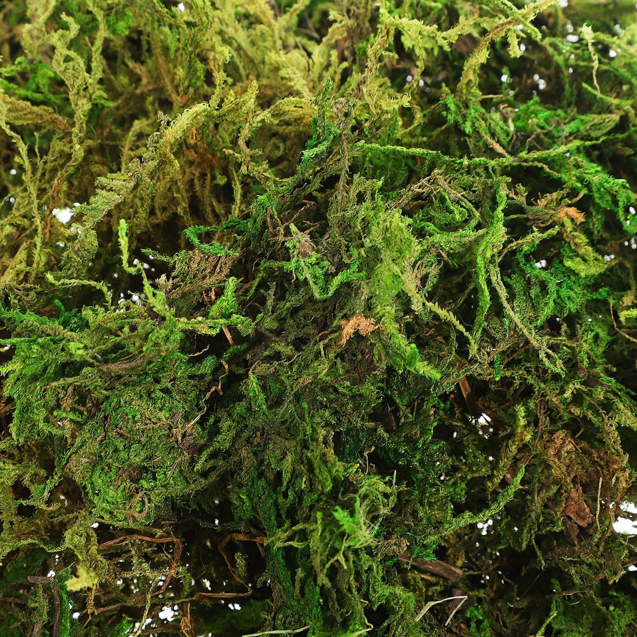 Cabilock 200 g Artificial Moss, Green Faux Moss for Crafts and DIY Decor