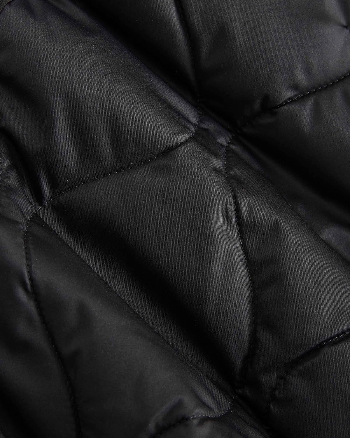 Everlane ReNew Quilted Vest