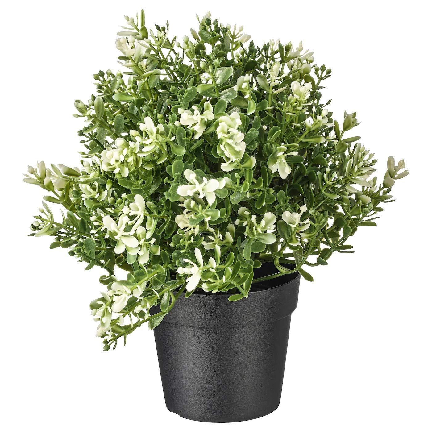 See full amazon price history chart for PAPERI Artificial Thyme Plant for Home Décor – Living Room Decoration Items, Office Desk Show Pieces, Fake Plant for Bathroom Decorations, Indoor Decorative Plastic Green Leaves with Pot for Table PAPERI Artificial Thyme Plant for Home Décor – Living Room Decoration Items, Office Desk Show Pieces, Fake Plant for Bathroom Decorations, Indoor Decorative Plastic Green Leaves with Pot for Table (B081B2Z4Q5) Amazon Price History, Amazon Price Tracker