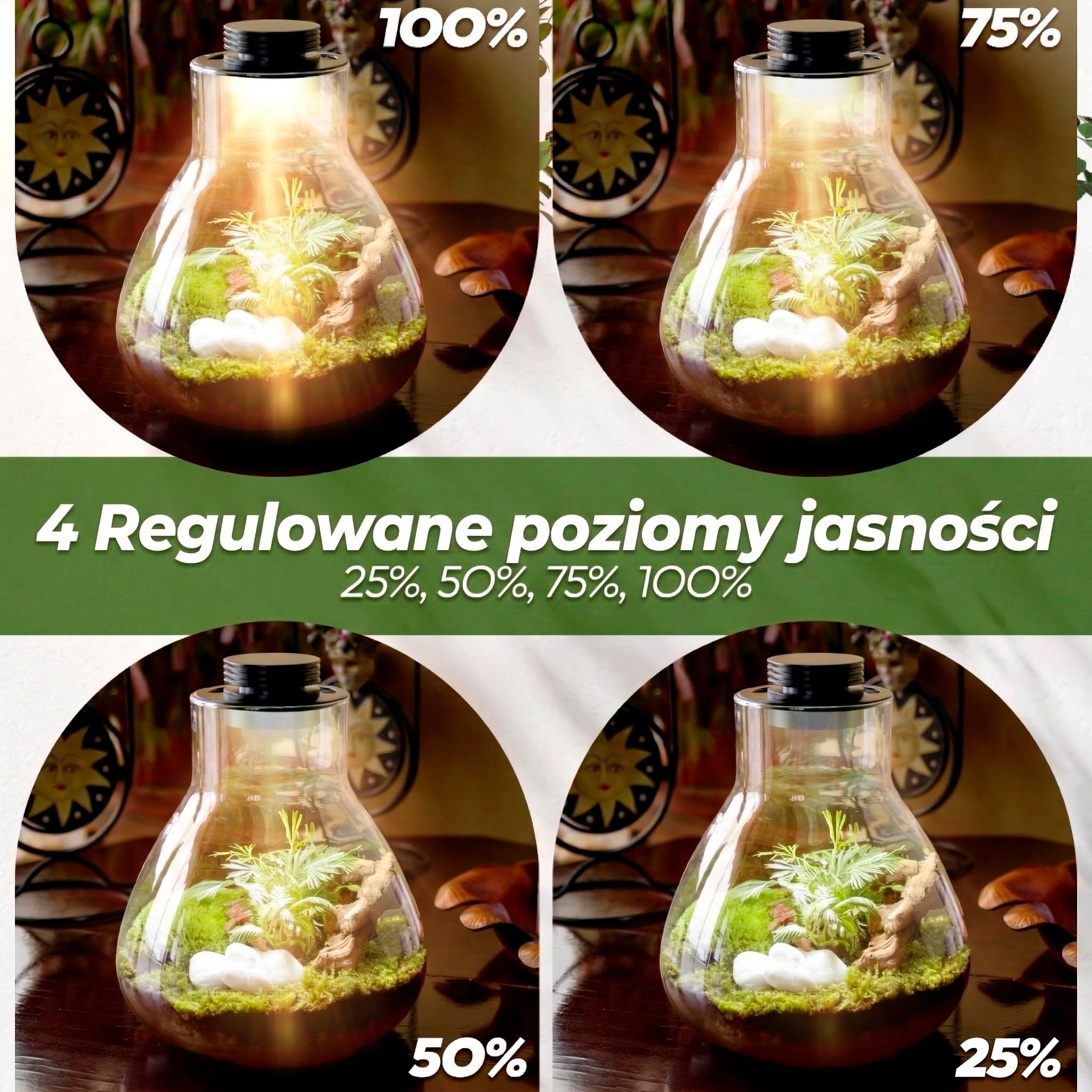 Terrarium dla roślin Terrarium Zestaw narzędzi Terrarium Zestaw narzędzi Borokrzemianowy pojemnik & Inteligentne światło LED