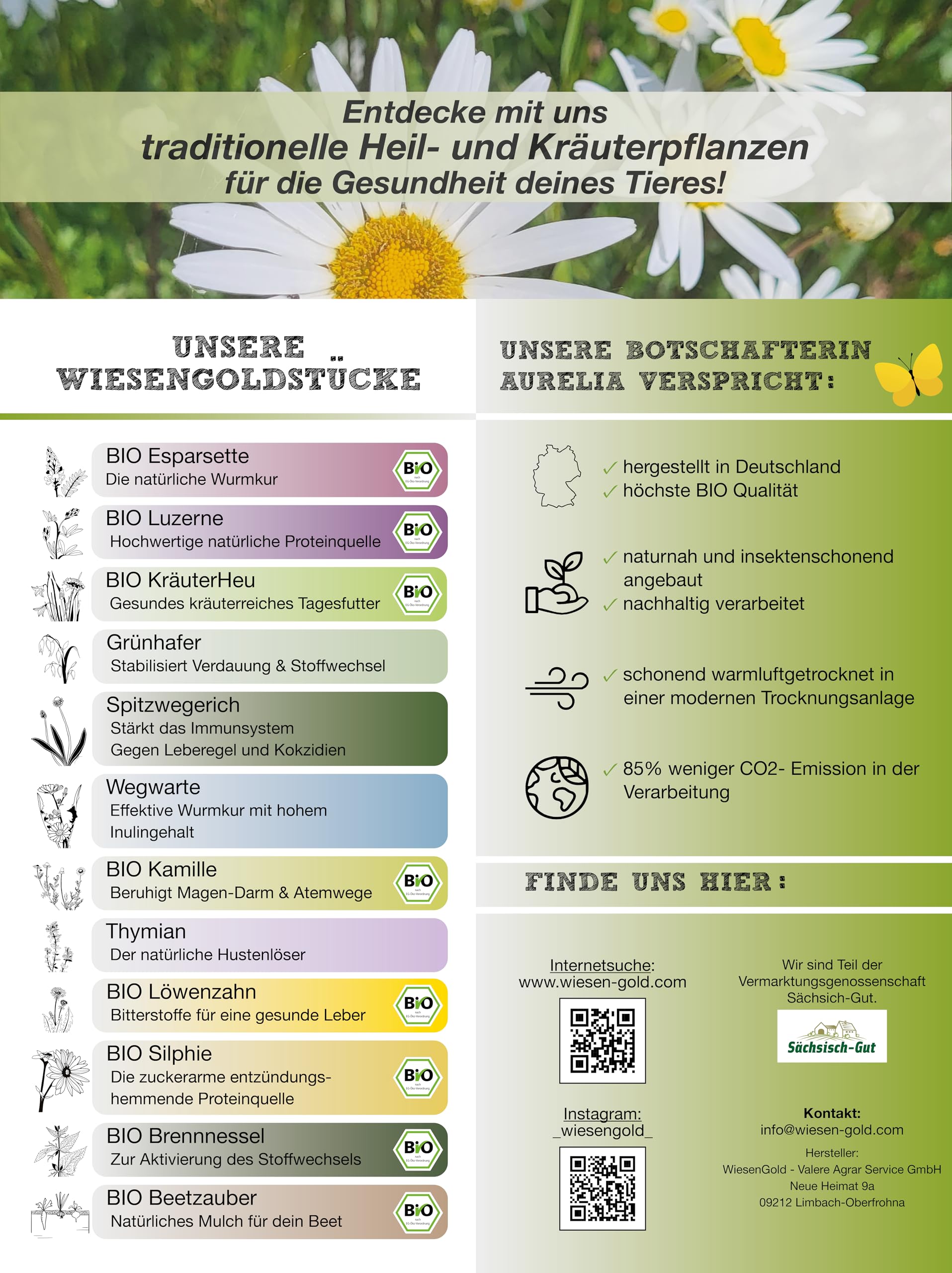 Löwenzahn Bio, Unterstützung bei Hufrehe, WiesenGold® Bio Löwenzahn Pellets (6kg) – natürliche Kräuter zur Unterstützung von Leber, Niere & Stoffwechsel bei Pferden und Tieren