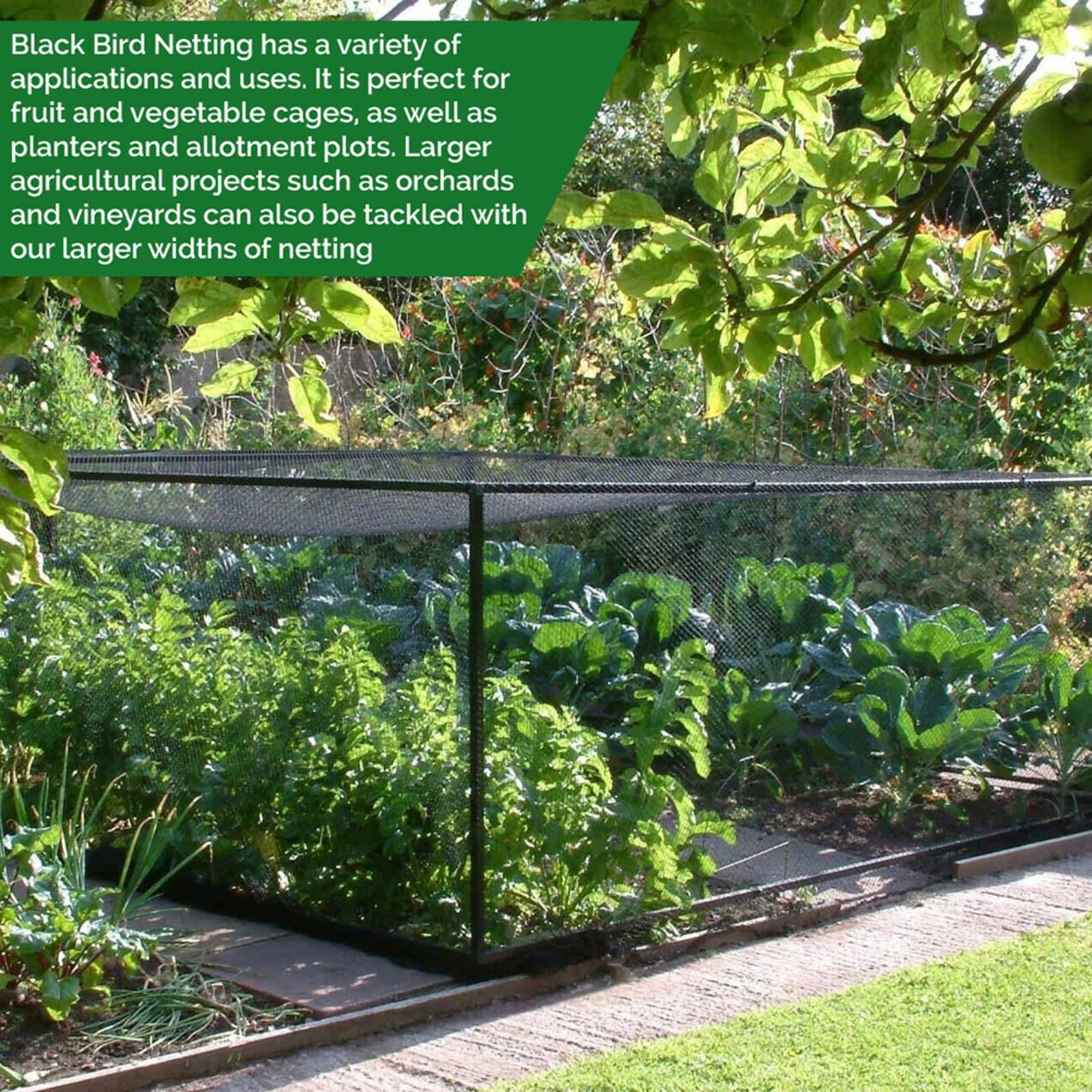LINSOCLE 4 x 15 m, vogelnet, fijnmazig net, tuin, vogelafweer voor fruitbomen, aardbeien, kersenboom, bescherming van planten van vogels met bescherming (zwart