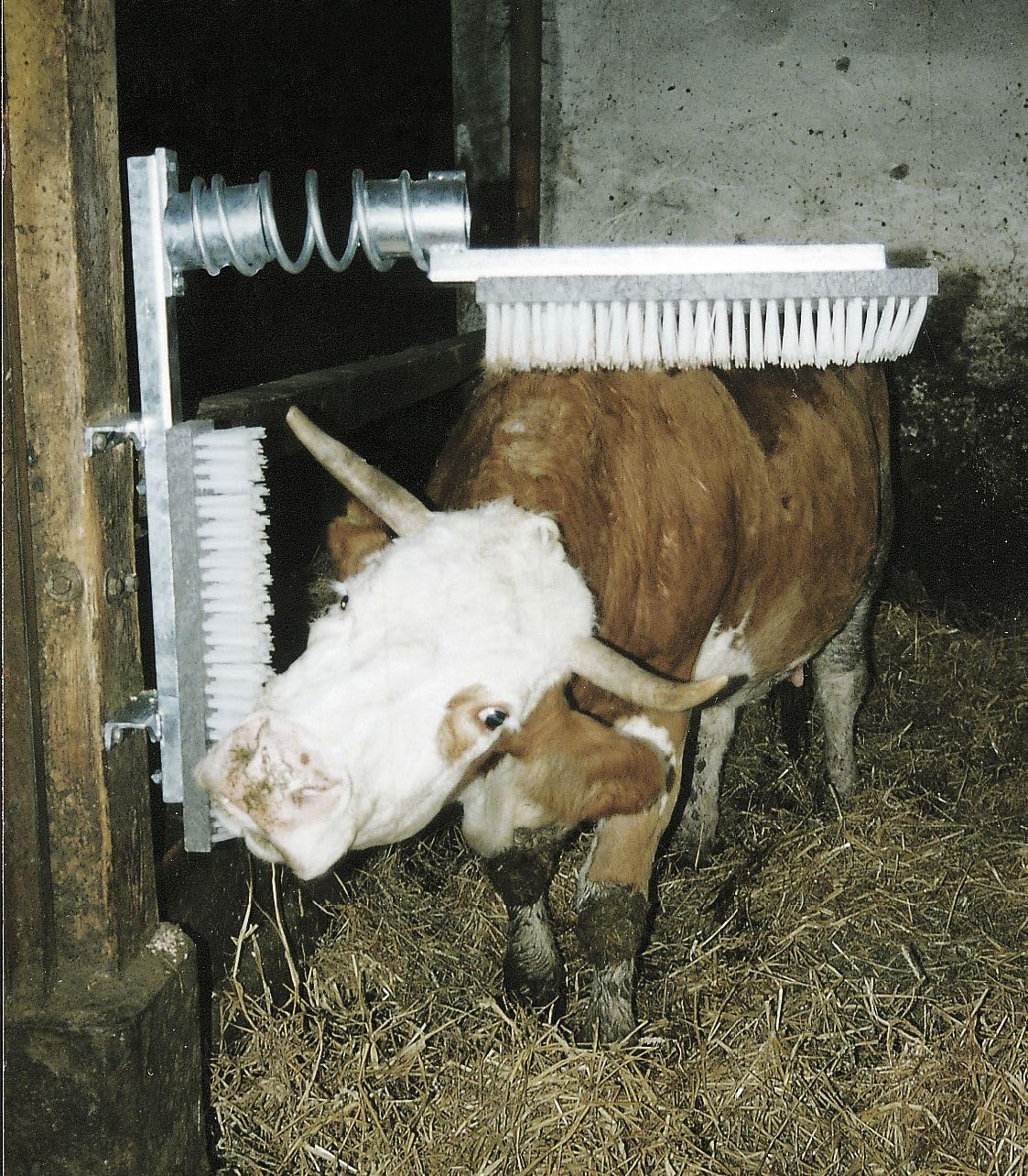 Viehbürste EuroFarm Kuhbürste 50 x 10 cm komplett mit Feder robuste Konstruktion