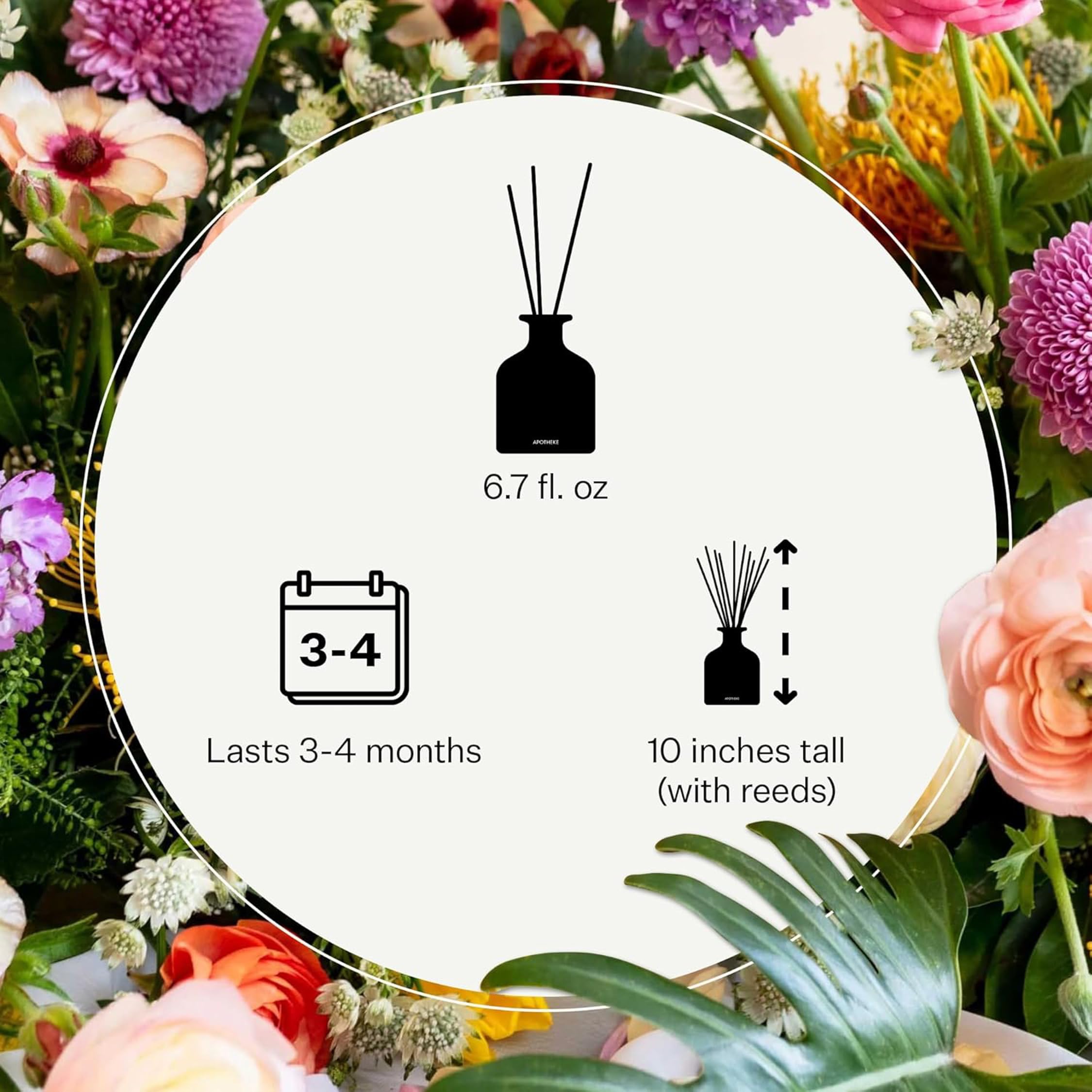 Apotheke Difusor de varillas de aceite perfumado de lujo para el hogar (vetiver blanco), juego de difusor de fragancia para el hogar con varillas