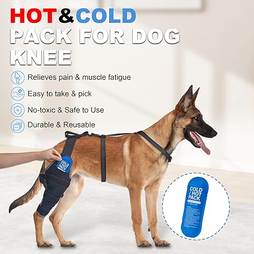 Miniatura 2 de ACL - Rodillera para perros para pierna trasera, compresa calientefría, adecuada para displasia de articulaciones de perro, soporte de estabilidad y