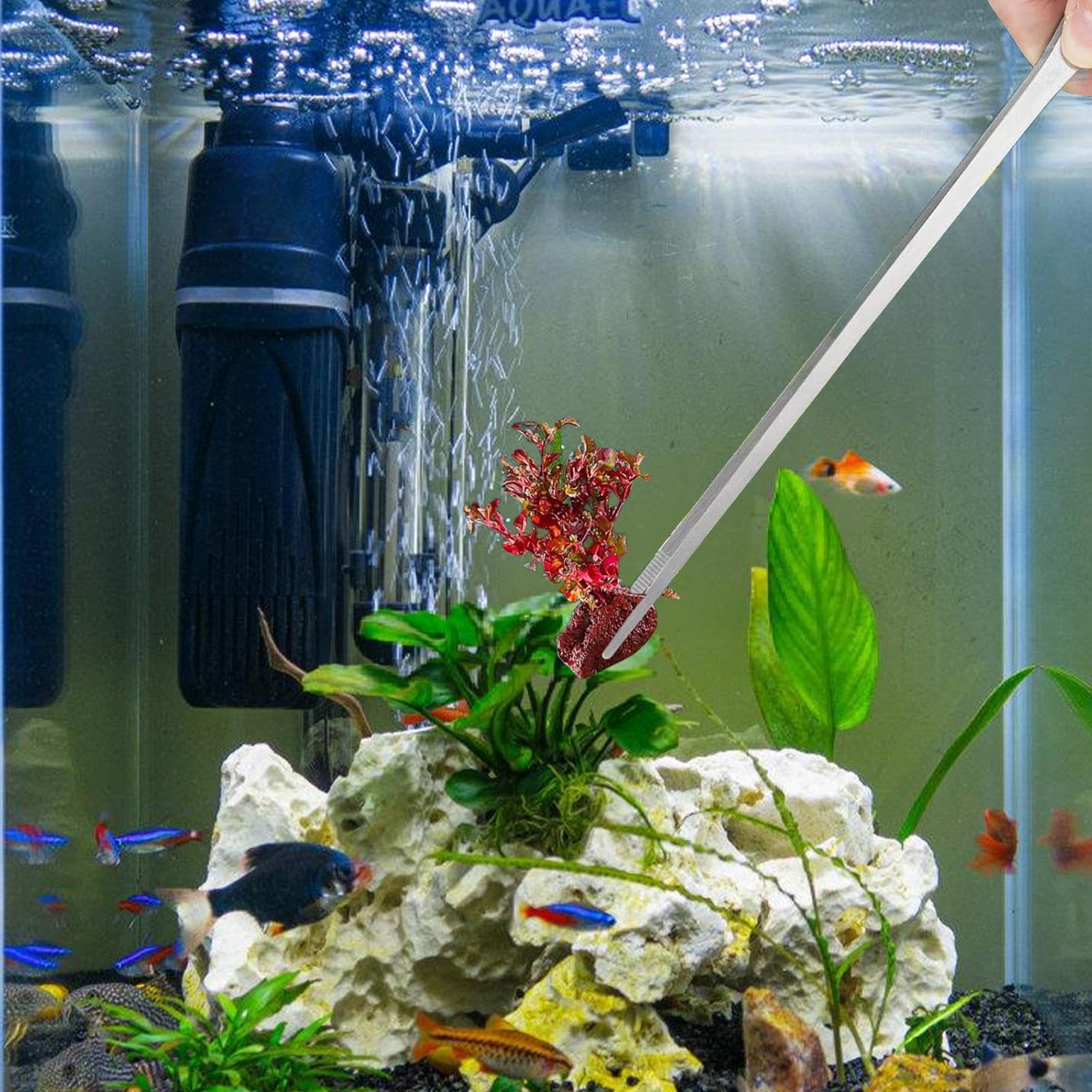 Amazon | 爬虫類用給餌トング、ヘビ用給餌トング | ステンレス