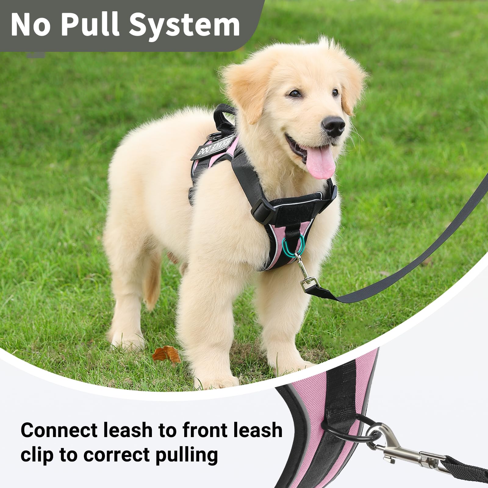 Belababy Dog Harness Small Medium Large - Image 4