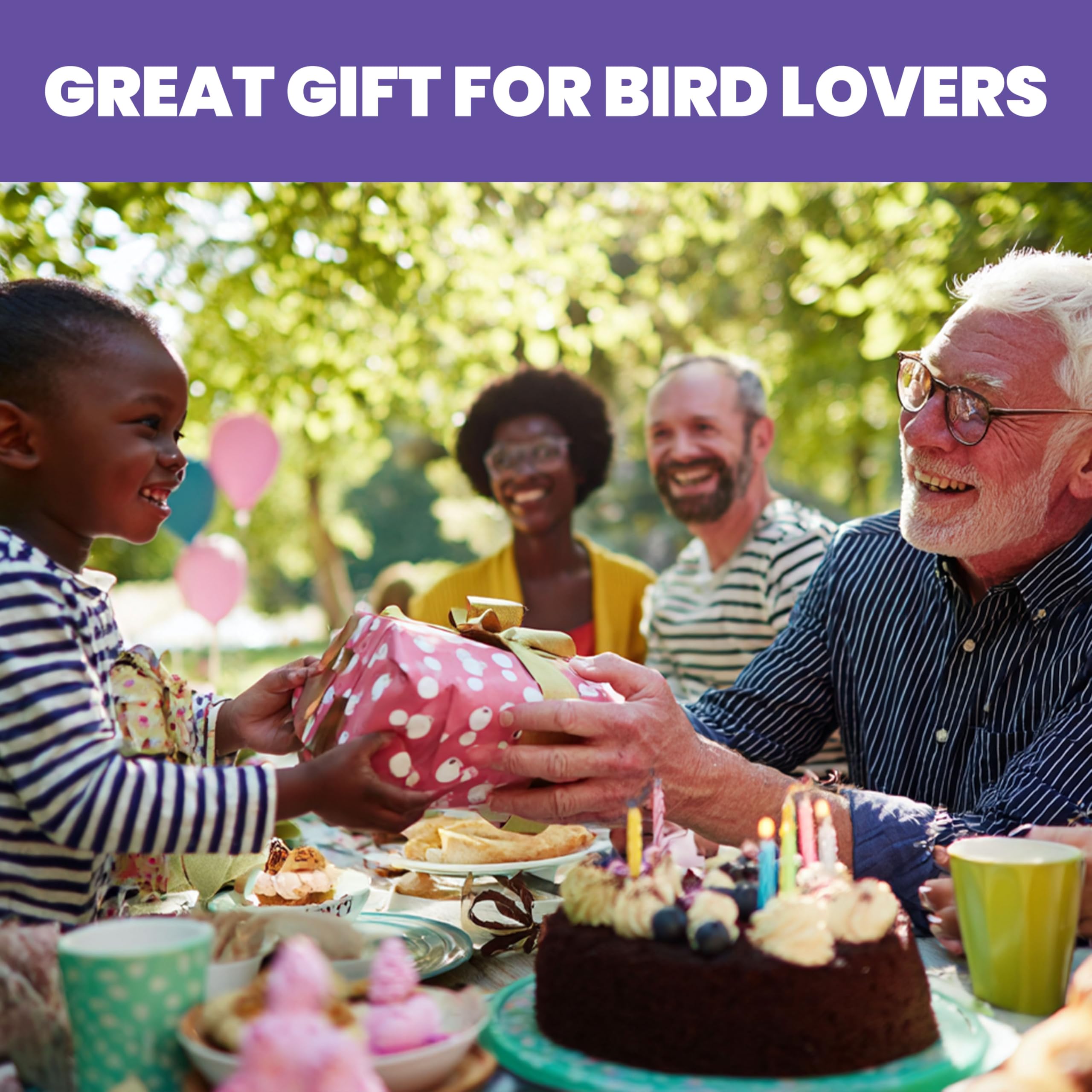 More Birds Amethyst Jewel - Comedero para colibríes, comederos de Vidrio para colibríes para Exteriores, 5 Estaciones de alimentación, 20 onzas