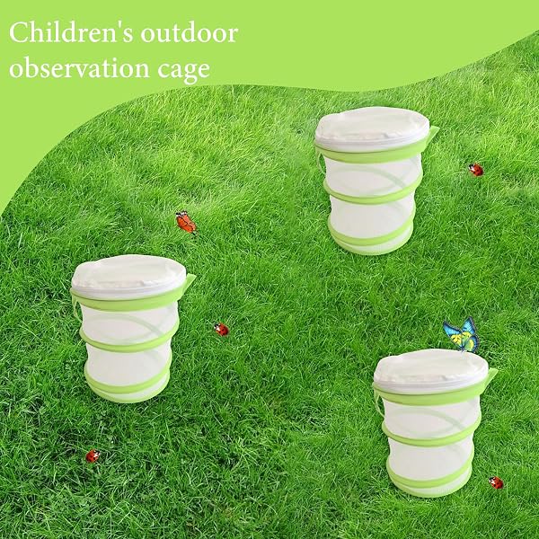 Butterfly Net,Stick Insect Starter Kit,Collapsible Bug Catcher Net,Butterfly Cage for Scientific Exploration - 4