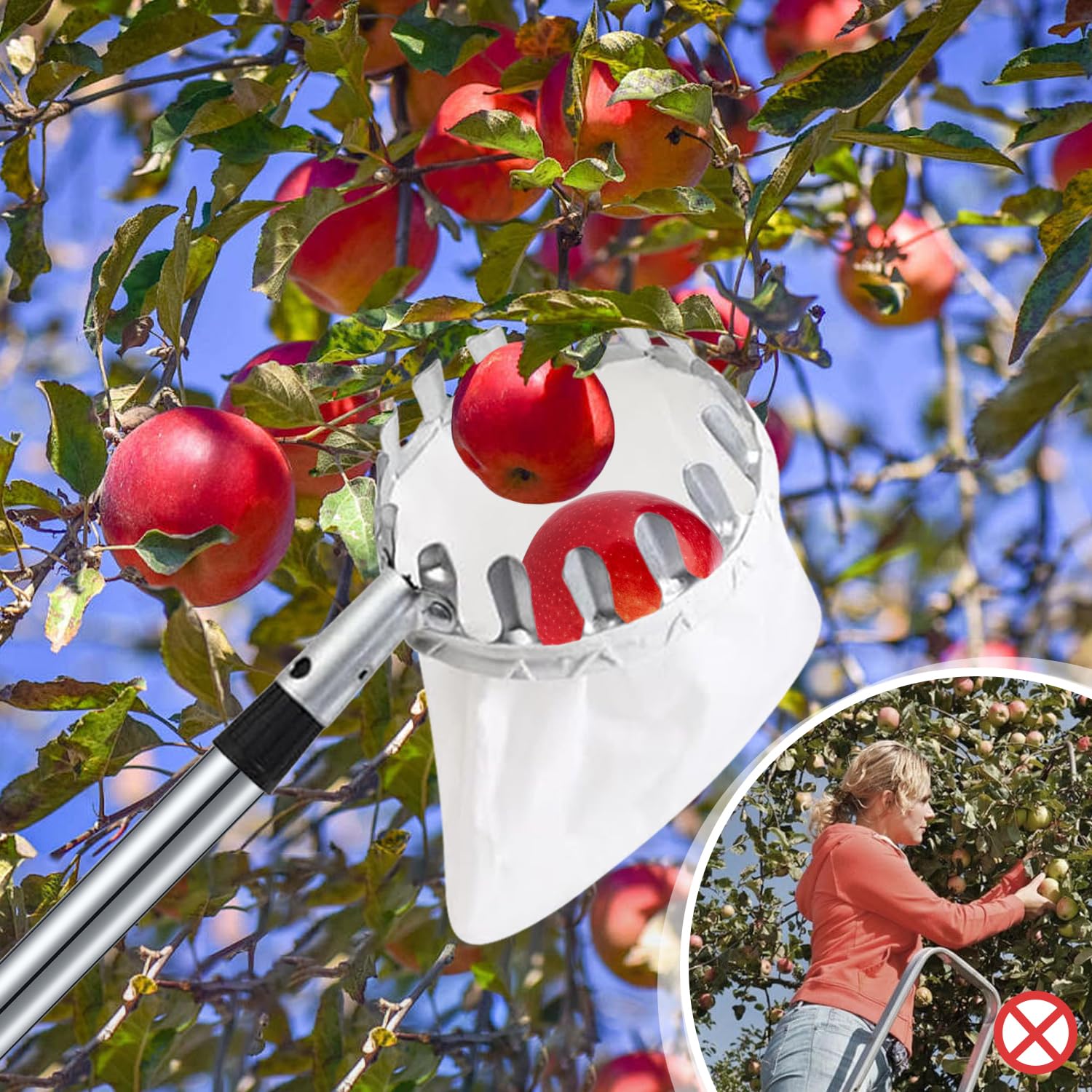 2M Recolector de Frutas, Recoge Frutas Telescopico, Recogedor de Frutas con Varillas de Extensión y con Bolsa de Algodón, para Manzanas, Cerezas, Peras y Melocotones
