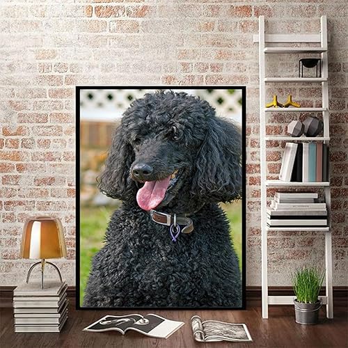 Miniatura 3 de Kit de pintura de diamantes 5D por números, lindo caniche negro con taladro completo, manualidades de diamantes para decoración de pared del hogar,