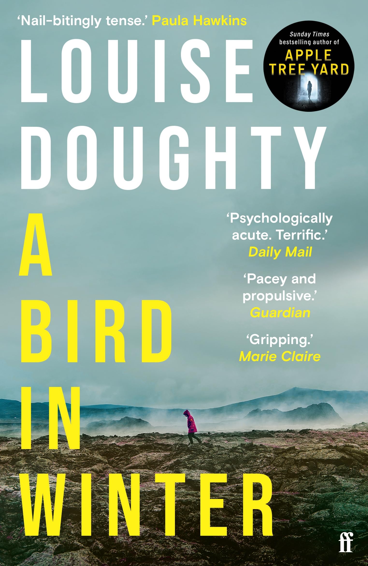 A Bird in Winter by Louise Doughty PAPERBACK 9780571322190