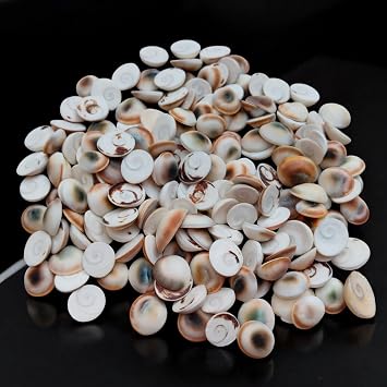 Natural Gomti Chakra Original Mini Colourfull Gomati 0.5"Inch For daily Puja purpose 21 Pcs Lot Gomti River Chakra | Shiva Eye Shell For Lakshmi Pooja, Wealth, 11 to 108 piece
