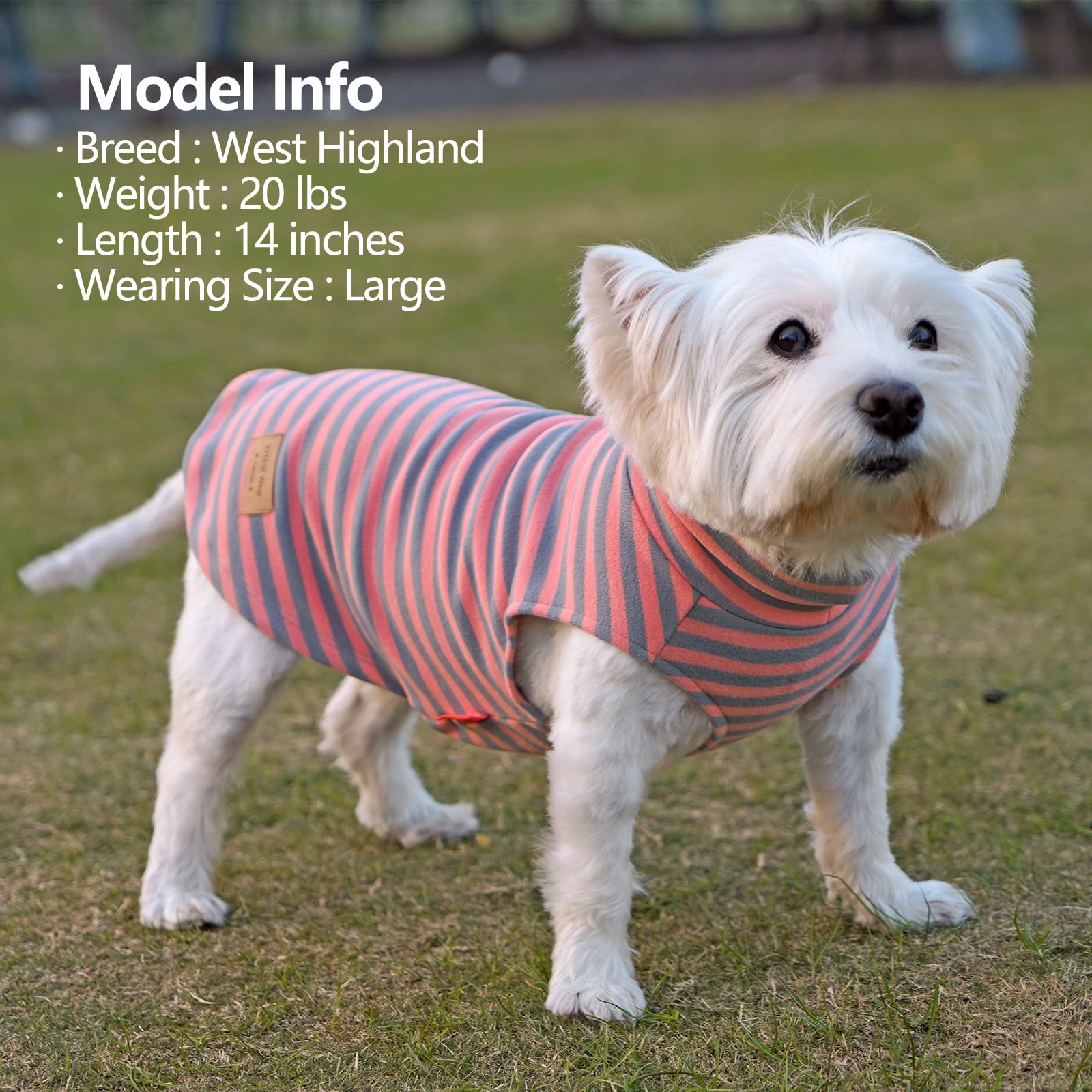 Condition photo showing New/Like New for KYEESE 2Pack Dog Coat Turtleneck Stretchy Dog Sweater Super Soft Dog Cold Weather Coat for Small Dogs Dog Fleece Vest Puppy in Sleeveless Design, Grey,S