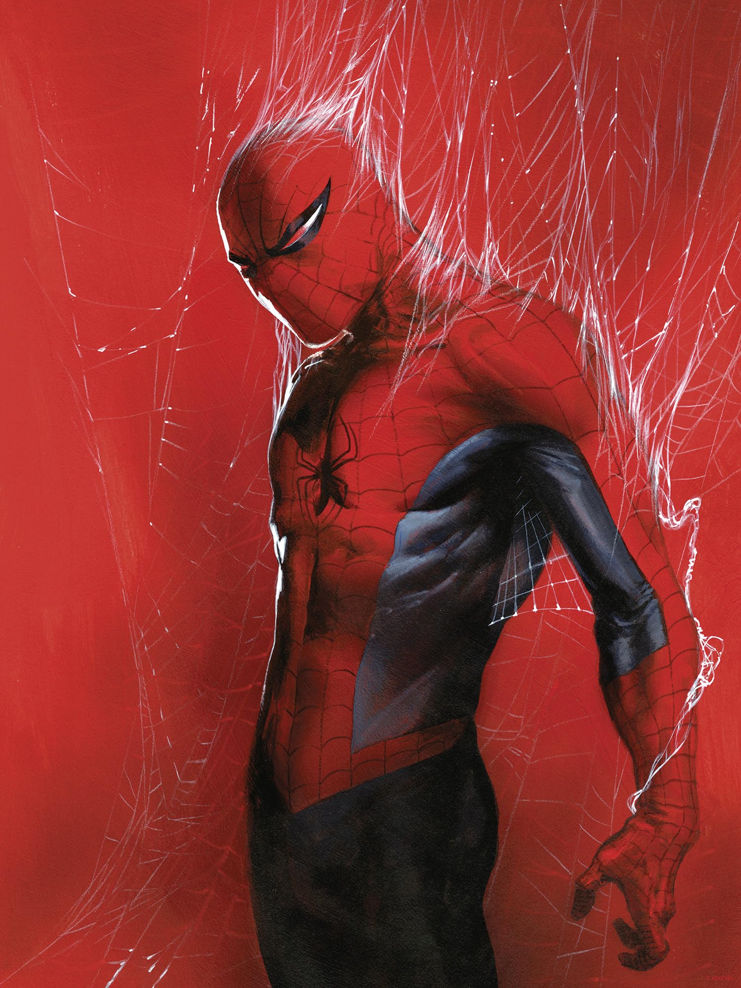 Komar Marvel Spider-Man Through the Spider Web - Size 30 x 40 cm - Nursery Wall Art
