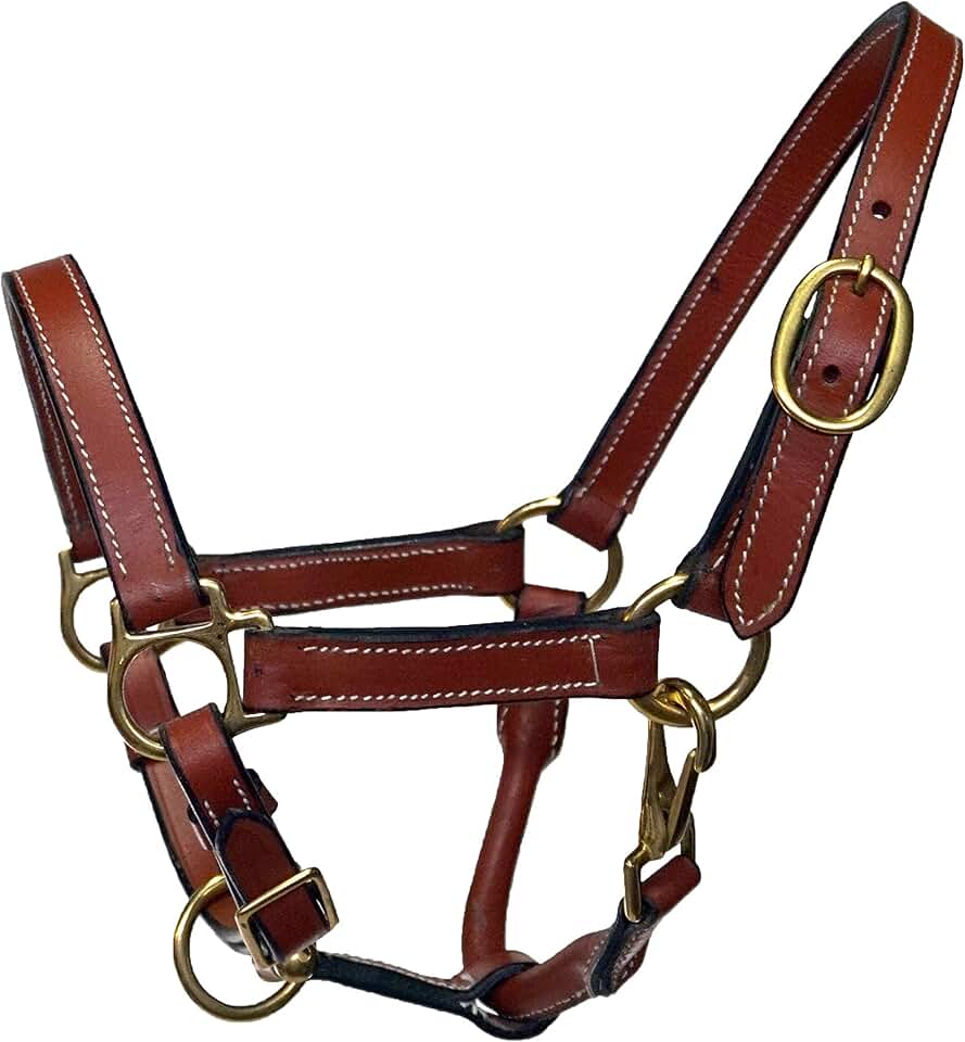 miniature donkey halters