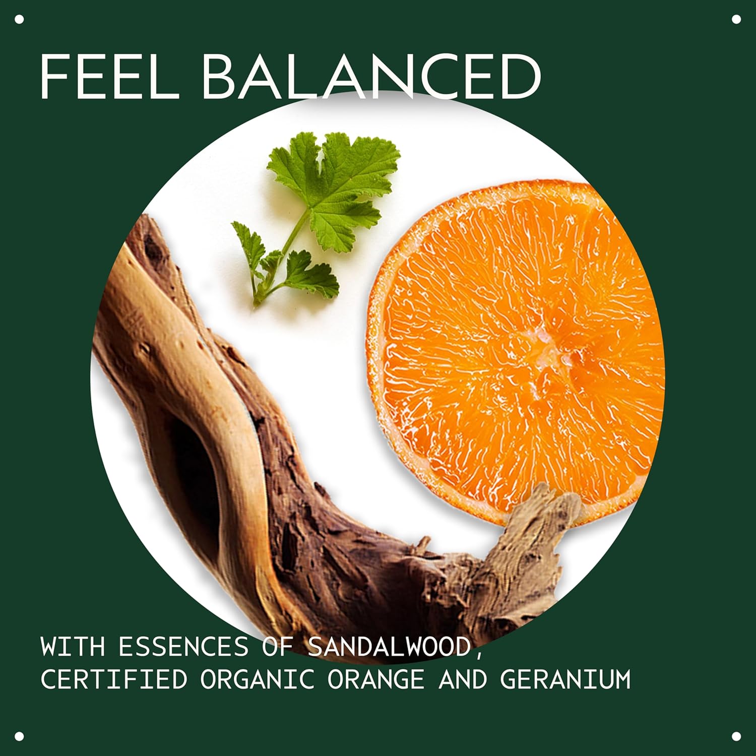 Aveda Chakra 2 Balancing Pure-Fume Mist: Balanced | Body & Room Spray | Balances Pleasure Chakra | With Sandalwood, Certified Organic Orange & Geranium, 3.4 Fl Oz - Image 3