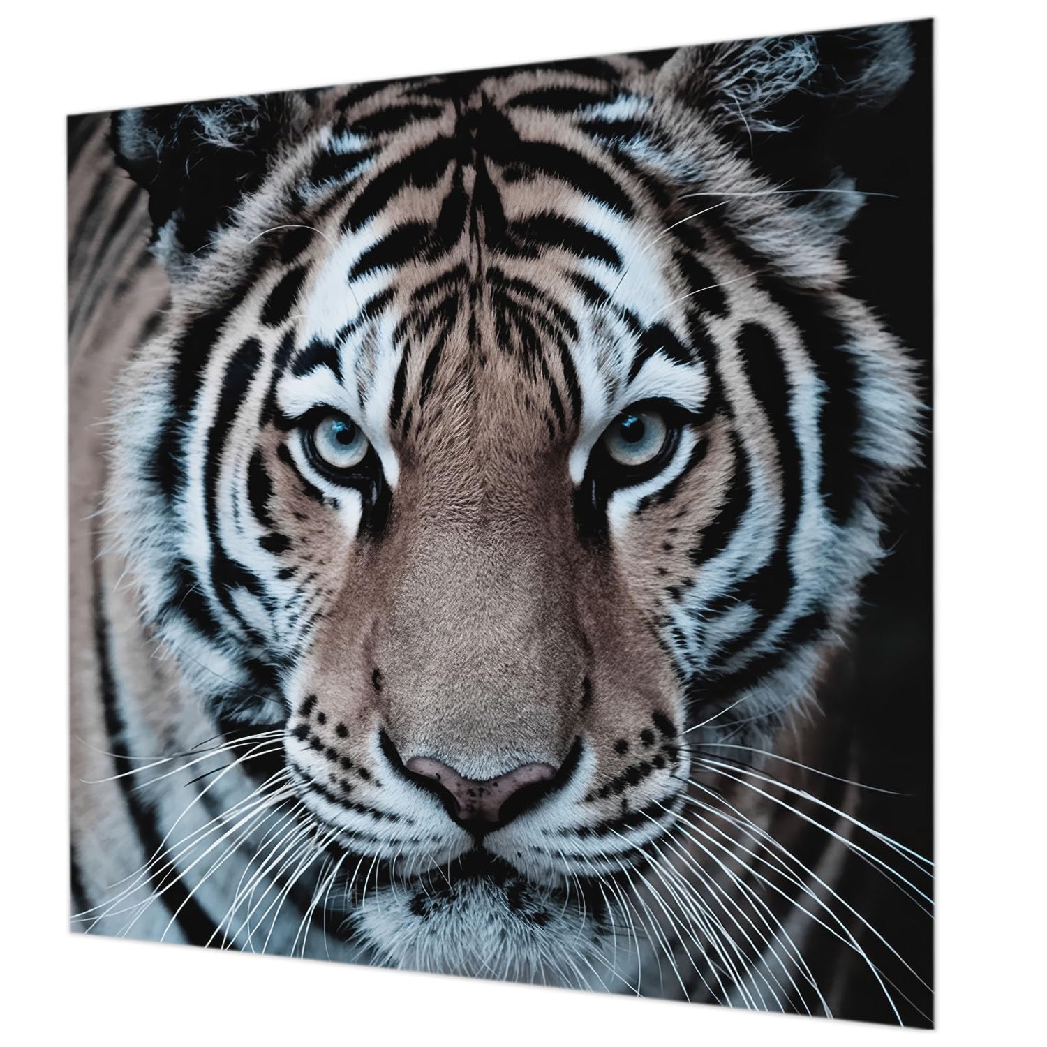 Papier peint intissé facile à nettoyer tapisserie tigre 250x250 colle incluse