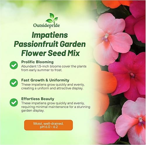 Miniatura 3 de Outsidepride Mezcla de semillas de flores de jardín de maracuyá de 75 semillas de Impatiens para plantar