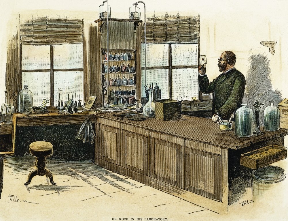 Robert Koch (1843-1910). /Ngerman Physician And Pioneer