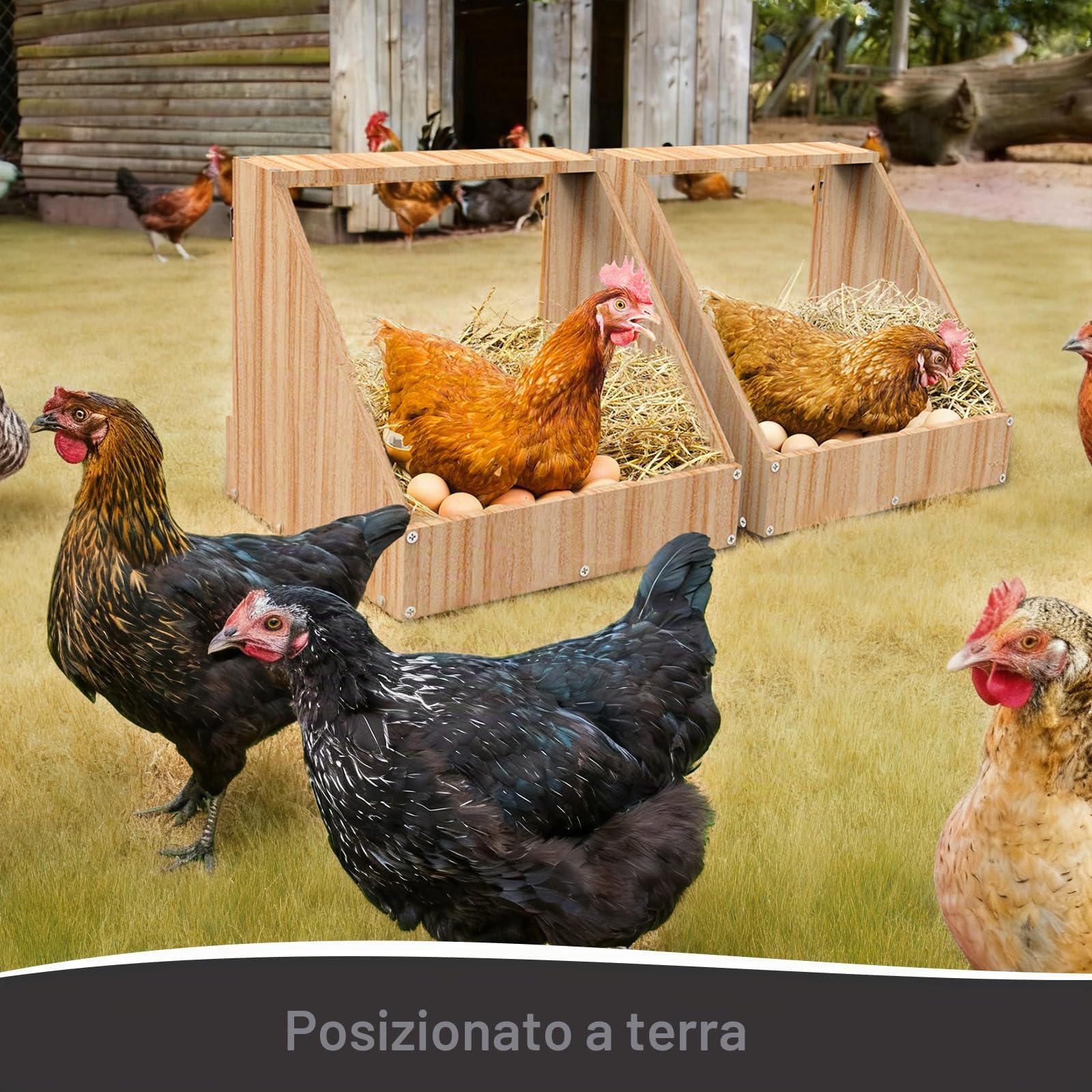 Carbonizzate E Verniciate Nidi Per Galline Ovaiole, 2 Pezzi | 35,3 x 35,3 x 34,2 cm, Nidi Per Galline Da Parete, Creano Un'area Di Raccolta Sicura Per Le Uova Deposte, Nido Per Galline