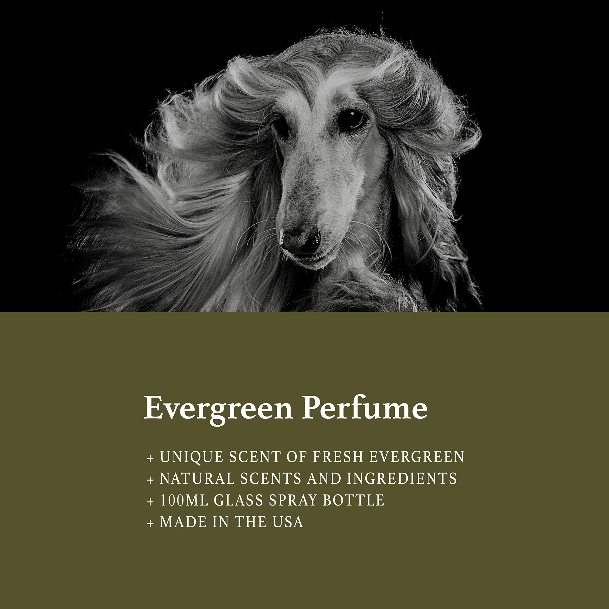 Ardent Dog-D-Funk, Dog Cleaning Spray