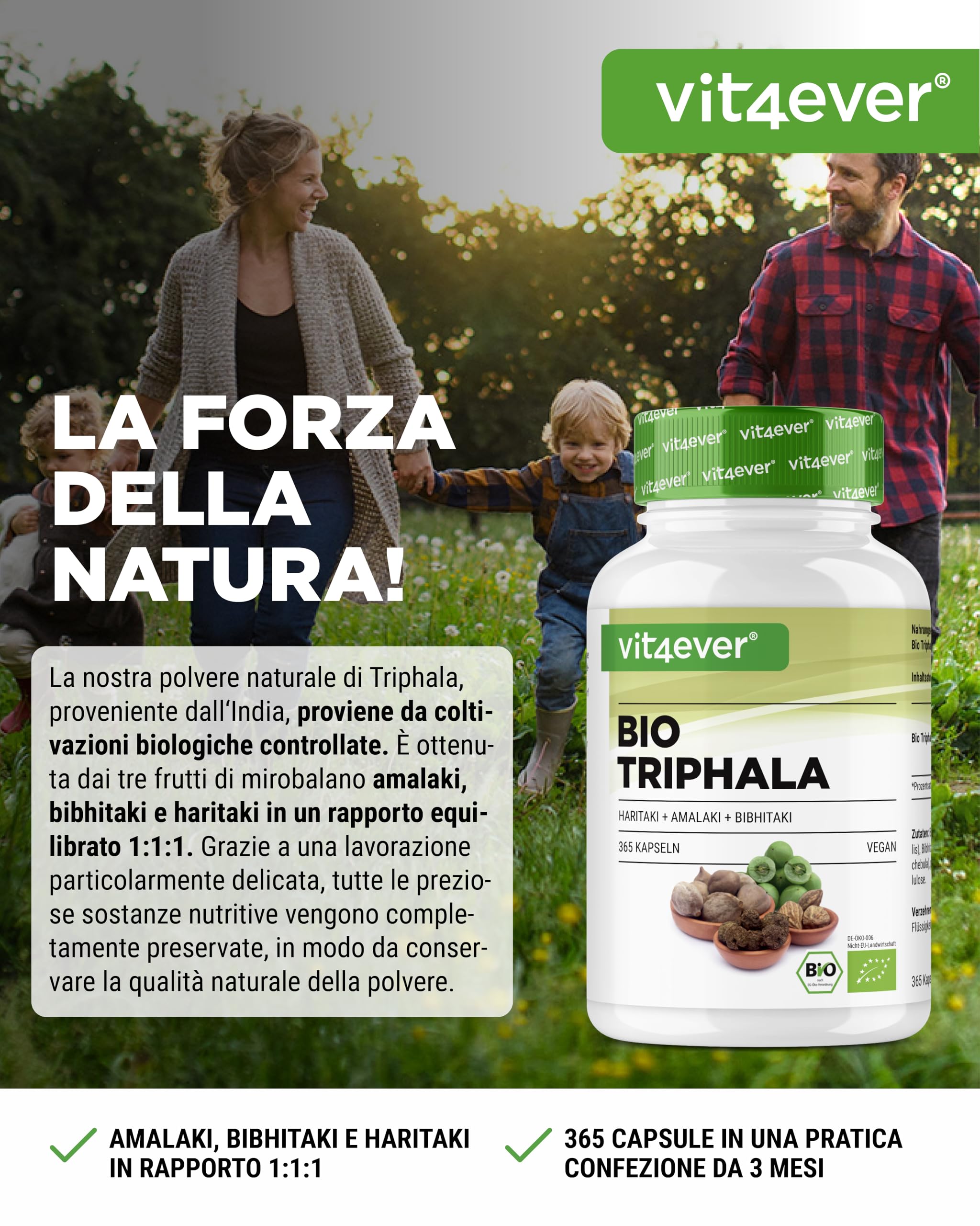Triphala biologica - Alto dosaggio di 2000 mg (500 mg per capsula) - 365 capsule - Triphala in polvere dall'India: Haritaki, Amalaki, Bibhitaki - Senza additivi - Vegan