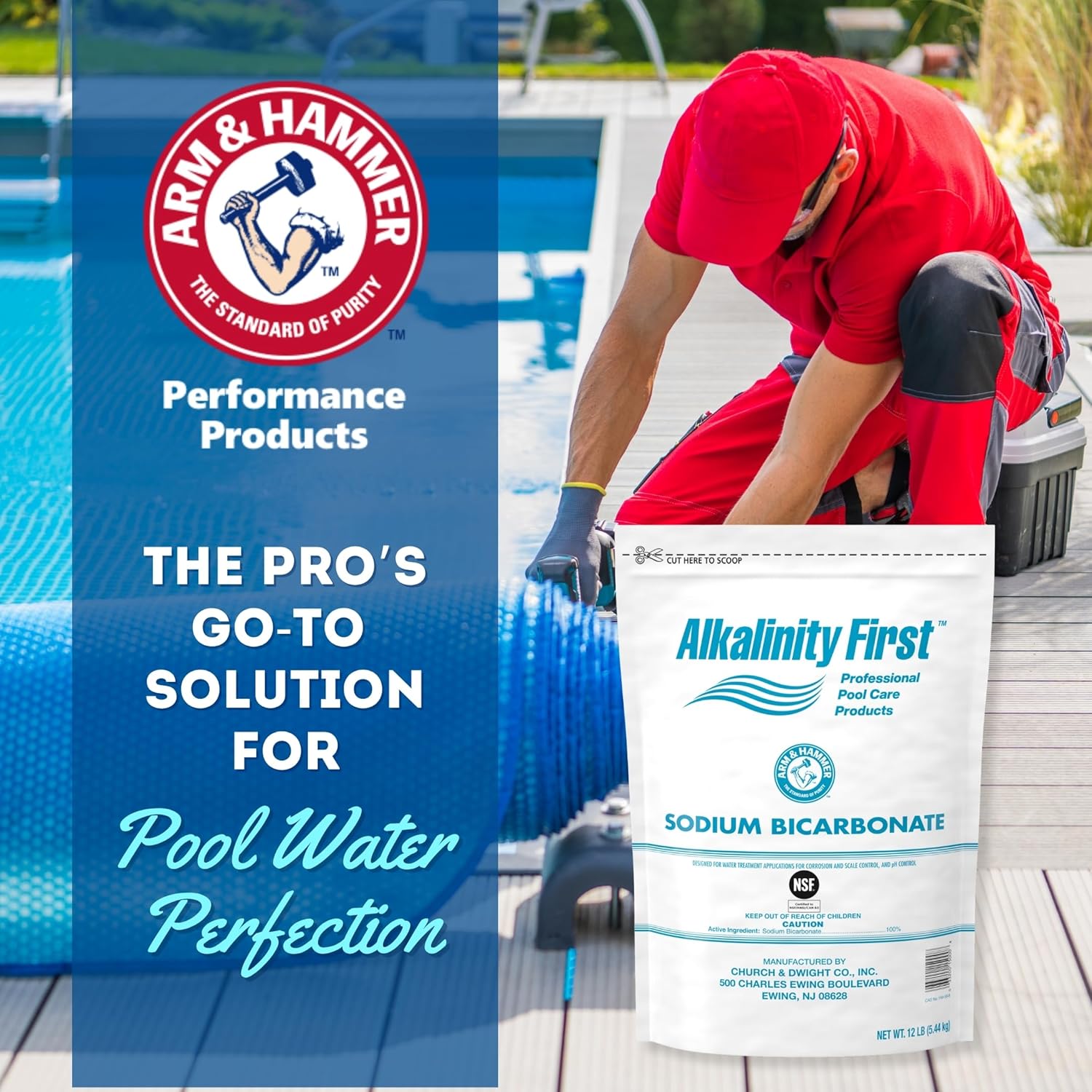 ARM & Hammer Alkalinity First Professional Pool Care Sodium Bicarbonate, 12 lb Pouches (Case of 4)