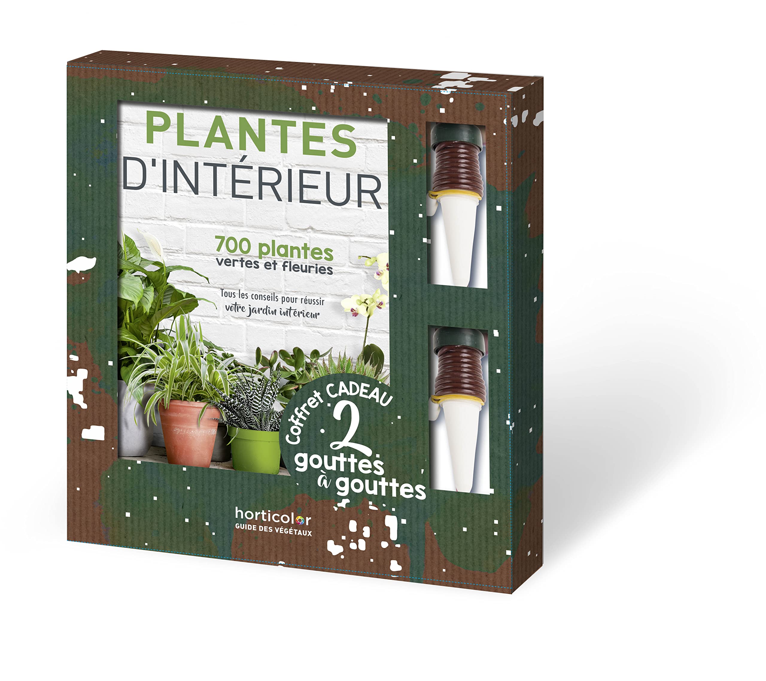 Plantes D intérieur 700 Plantes Vertes Et Fleuries