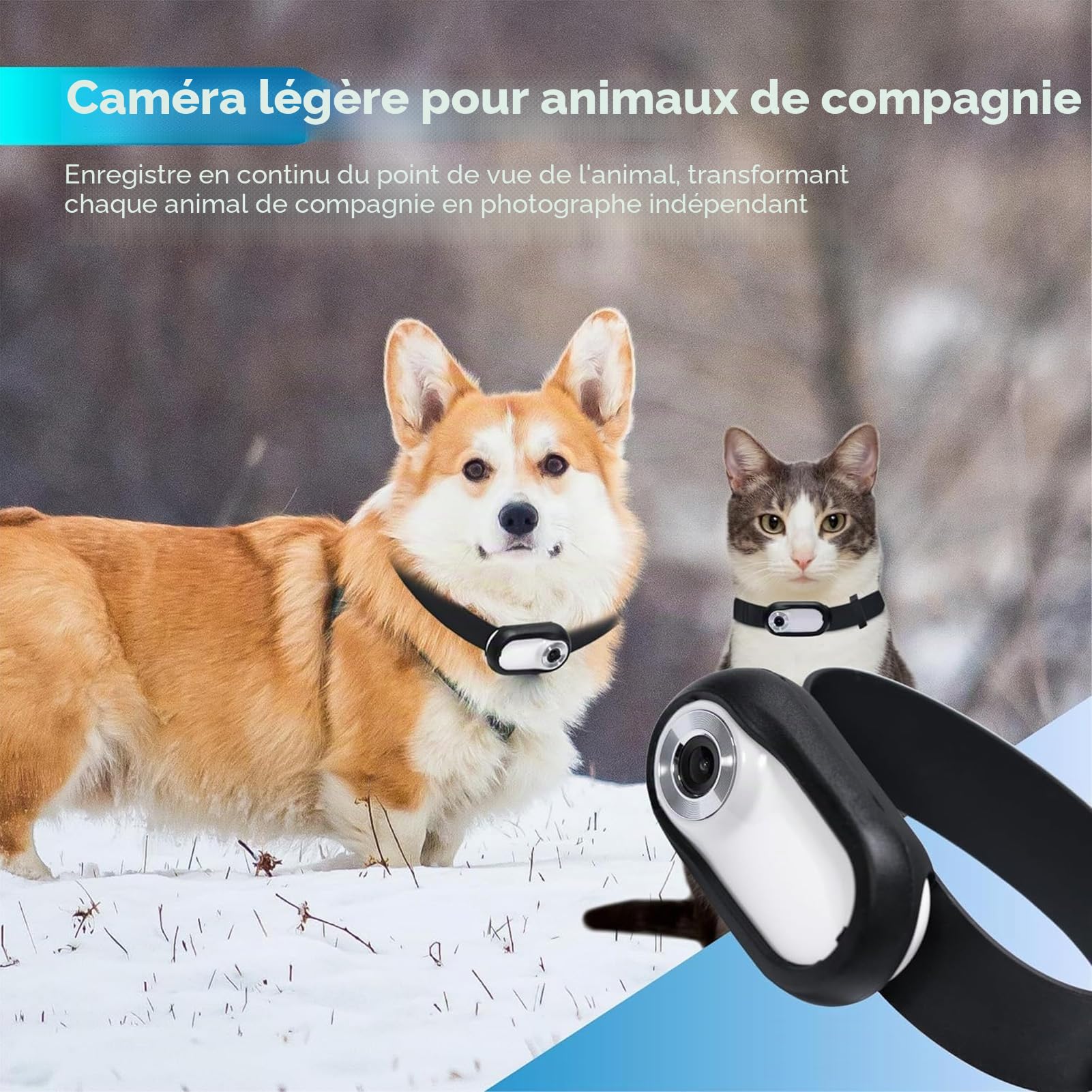 Collier de Caméra pour Chat, Pas de WiFi Nécessaire, Caméra d'action Sportive 30 IPS avec Enregistrements Vidéo, Mini Caméra Corporelle pour Chats, Chiens, Animaux de Compagnie