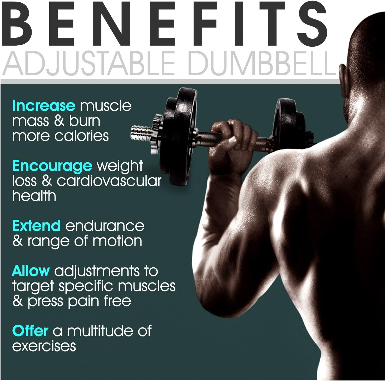Yes4All Adjustable Dumbbells - 52.5 lb Dumbbell Weights (Single) : Sports & Outdoors