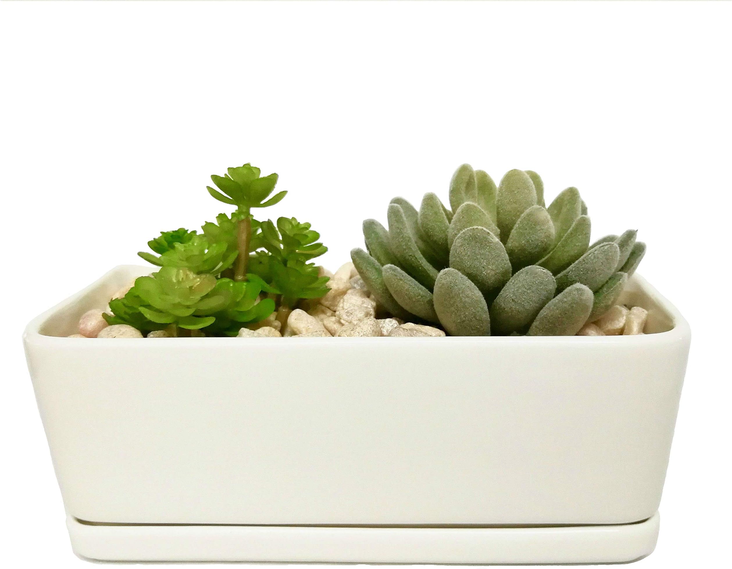 Rectangular White Porcelain Planter with Tray. Maikai Products Ceramic Minimalist Contemporary Pot. Great for Succulents/Cactus. Ideal Home and Office Decor.