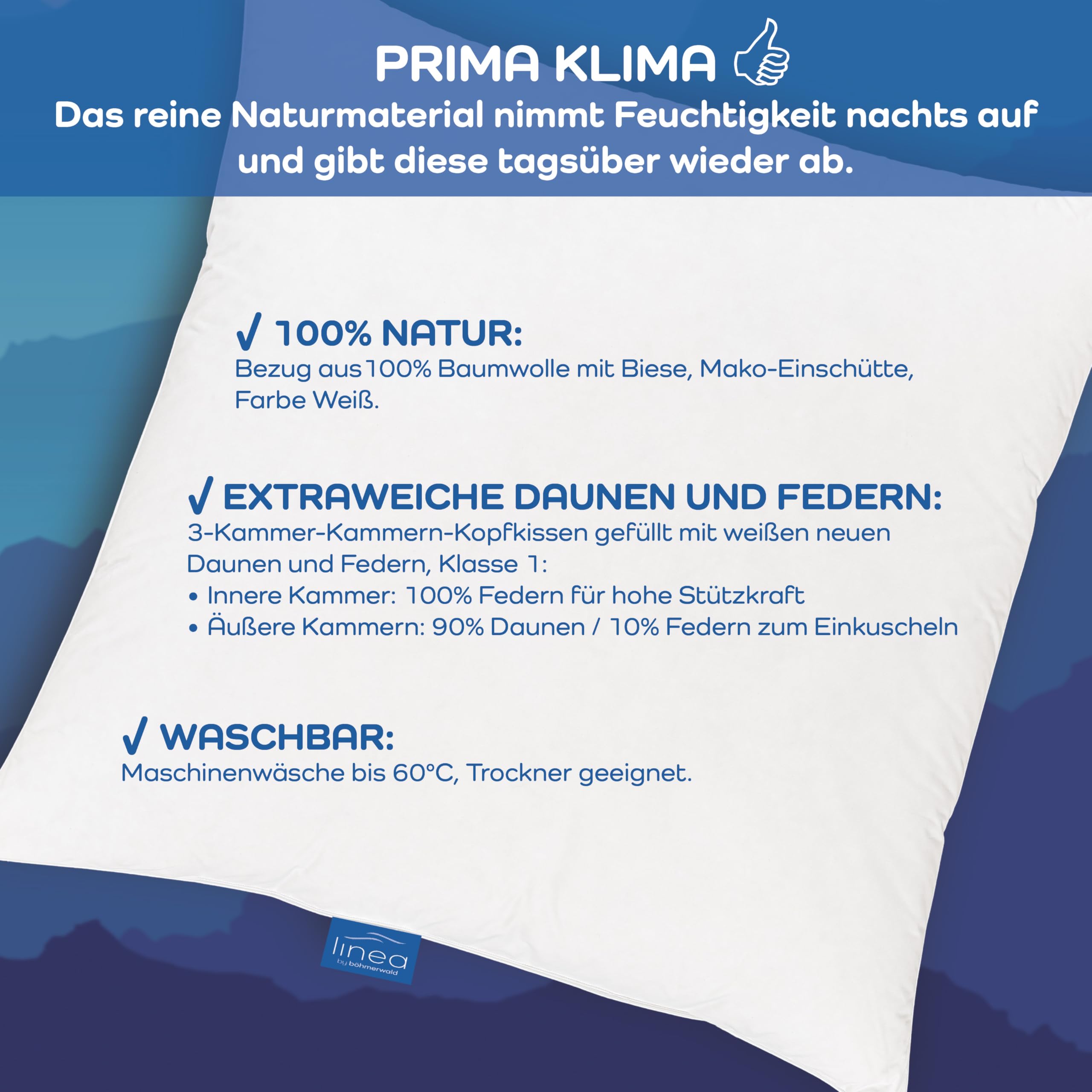 LINEA by böhmerwald - cosy - 3 Kammer-Kopfkissen weich, 40 x 80, Innen:100% Federn, Äußere Kammern:90% Daune/10% Feder, Allergiker geeignet, waschbar bis 60°C, in Deutschland produziert