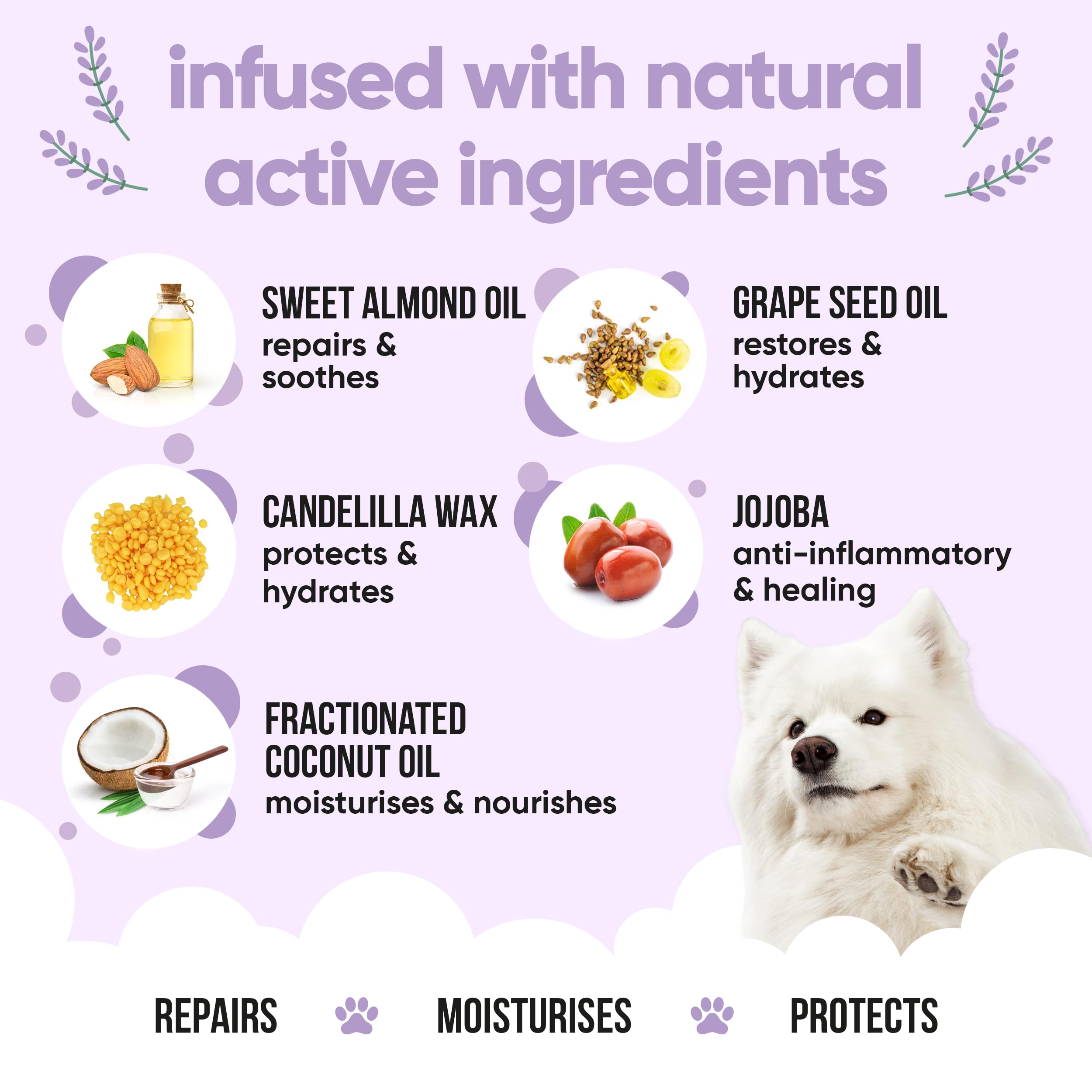 Buddycare Dog Paw & Nose Balm - Lavender Protects & Repairs Dry, Cracked & Chapped Skin, Pack of 1 - Image 3