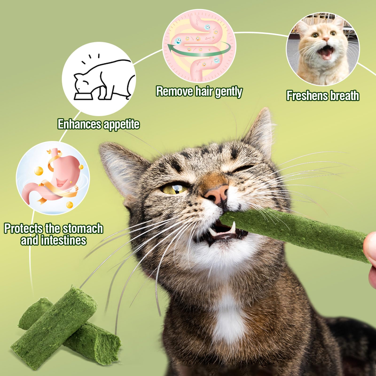 Bastoncini Erba Gatta Liofilizzata - 30g, Snack Per Gatti Con Pollo - Foto 11