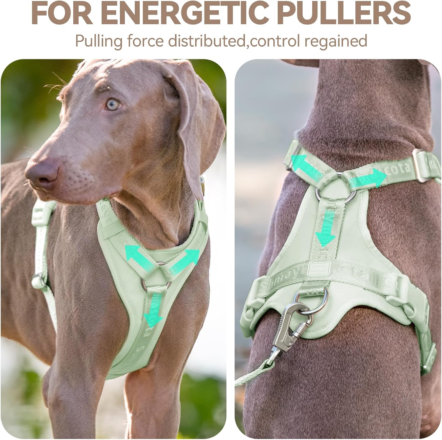 No Pull Dog Harness with Lycra, Three-Point Force Dispersion & 3D Padding, Adjustable Breathable Mesh for Small Medium Large Dogs(Light Green,S)