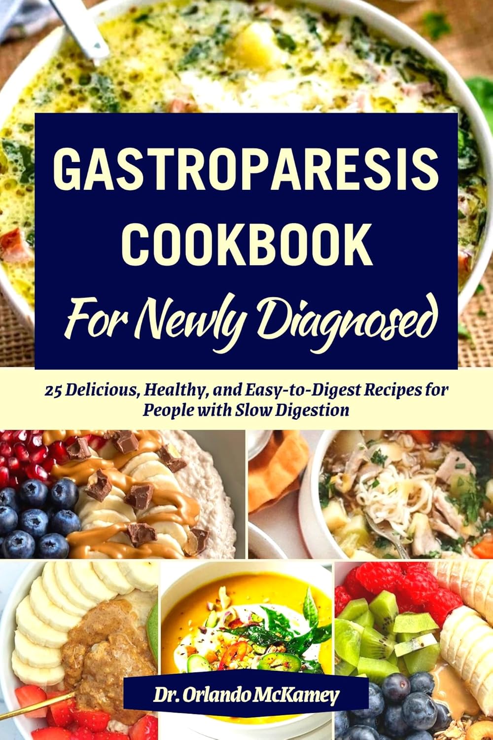 GASTROPARESIS COOKBOOK FOR NEWLY DIAGNOSED 25 Delicious