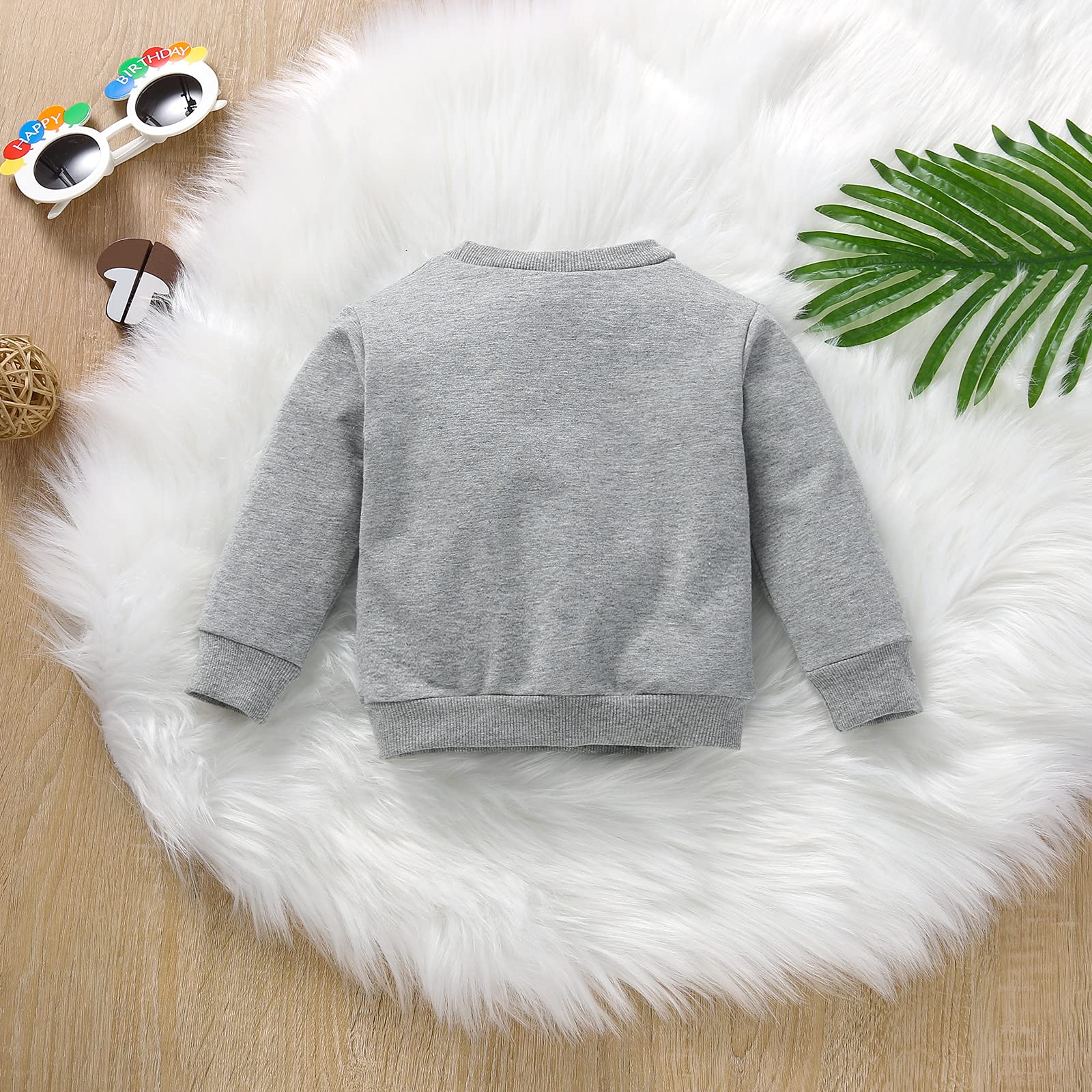 One opening Toddler Baby Boy Girl Hoodies Pullover Sunshine Long Sleeve T-Shirt Hoodie Sweater Unisex Kids Fall Winter Clothes (Grey, 0-6 Months)