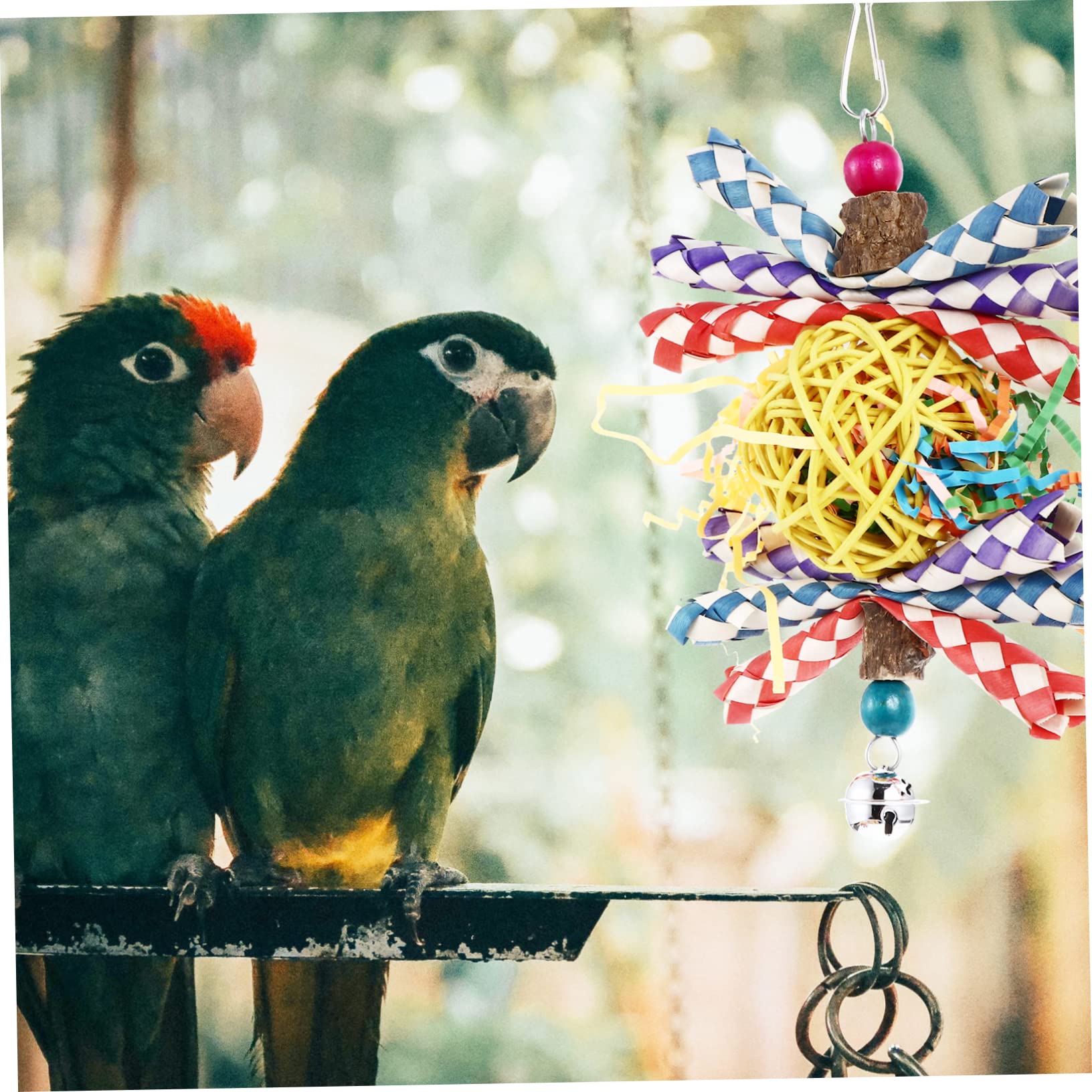 FRCOLOR 2pièces Jouet à Mordre pour Perroquet Accessoire Et Herbe pour Oiseaux Stimule Activité Physique Et Réduit Ennui Jouet Créatif Et Amusant pour Oiseaux De Compagnie