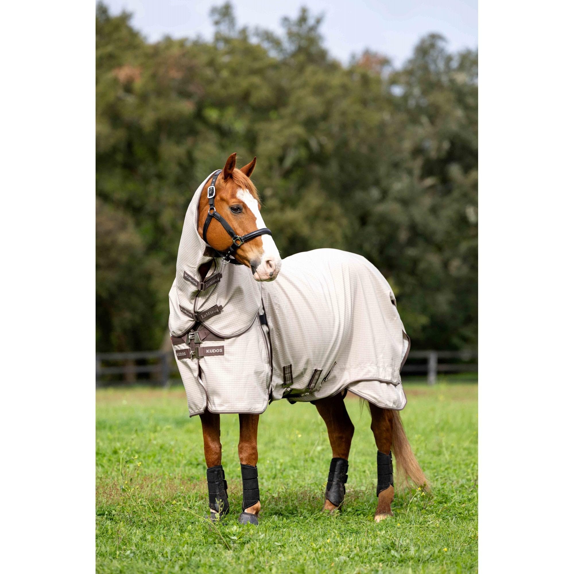 Tapis de hunter gris anthracite noir et paillettes