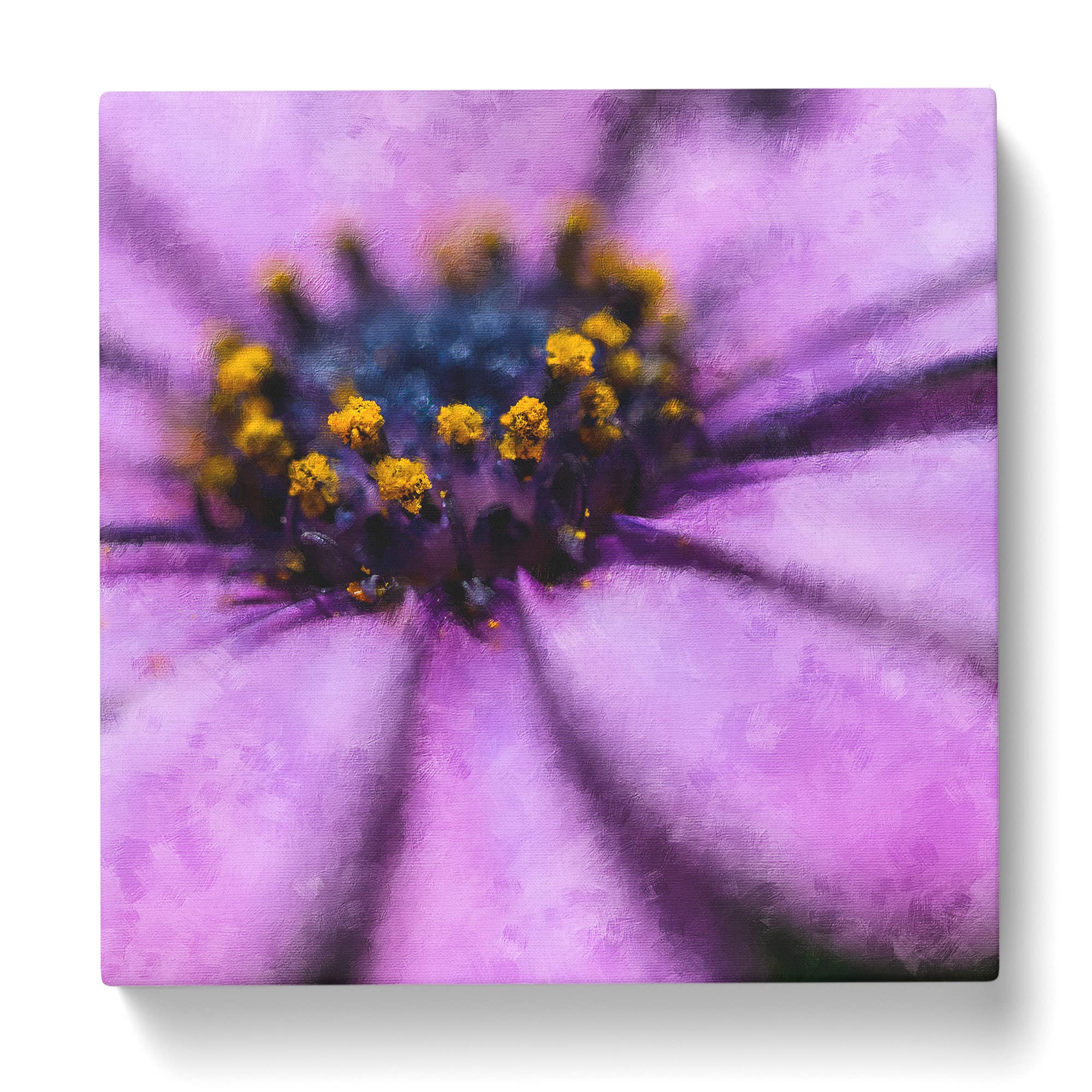 Pollen of a Purple Gerbera Flower Canvas Print, Mixed, 35L x 35W cm - Image 3