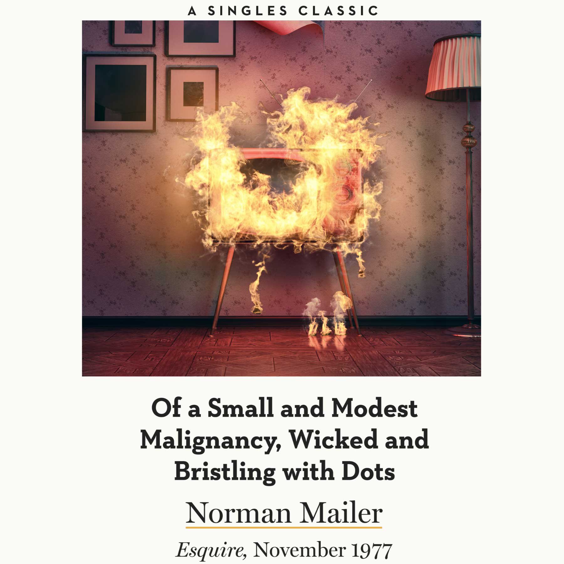 Of a Small and Modest Malignancy, Wicked and Bristling with Dots