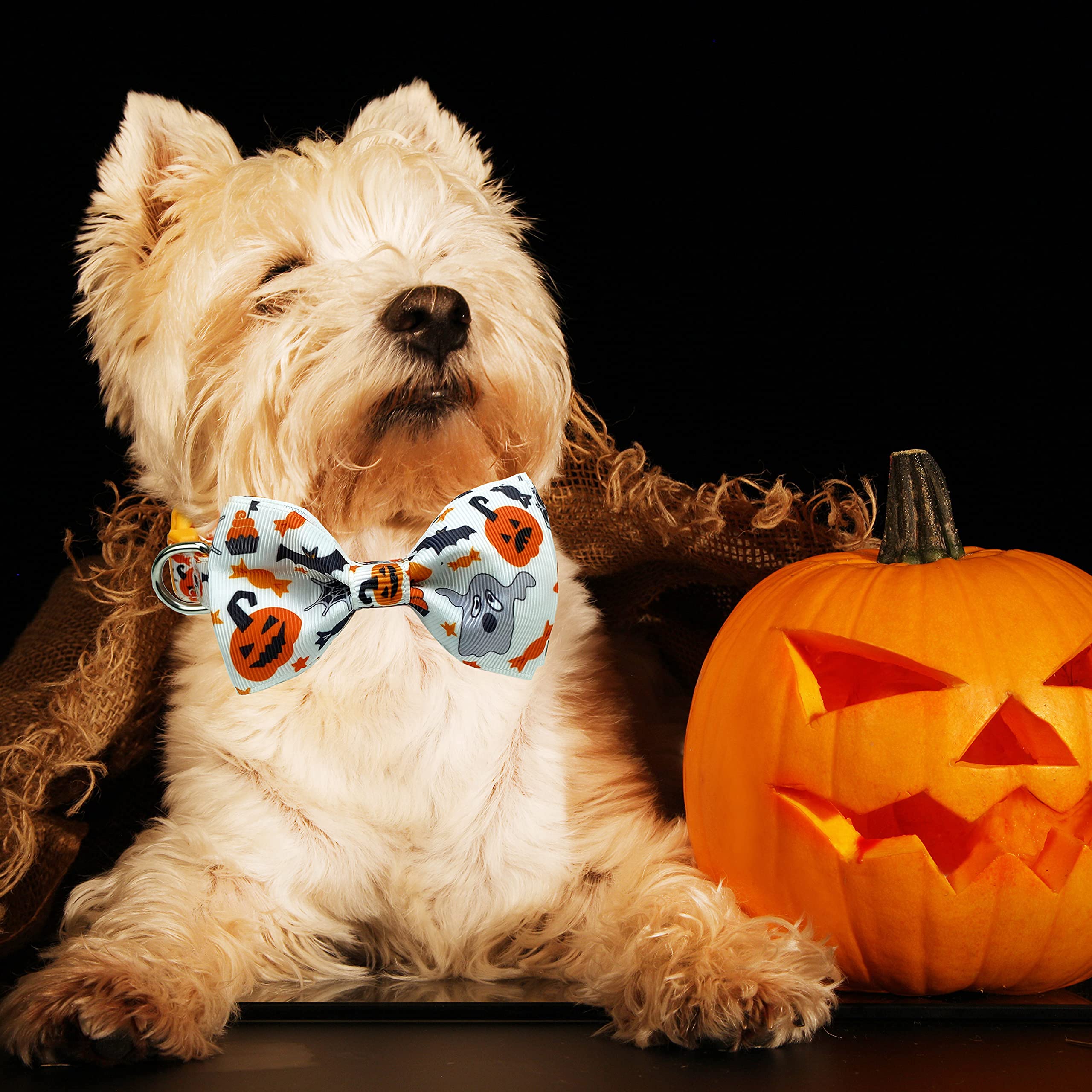 Amazon | ハロウィン 犬用首輪 蝶ネクタイ付き ホリデージャック・オー