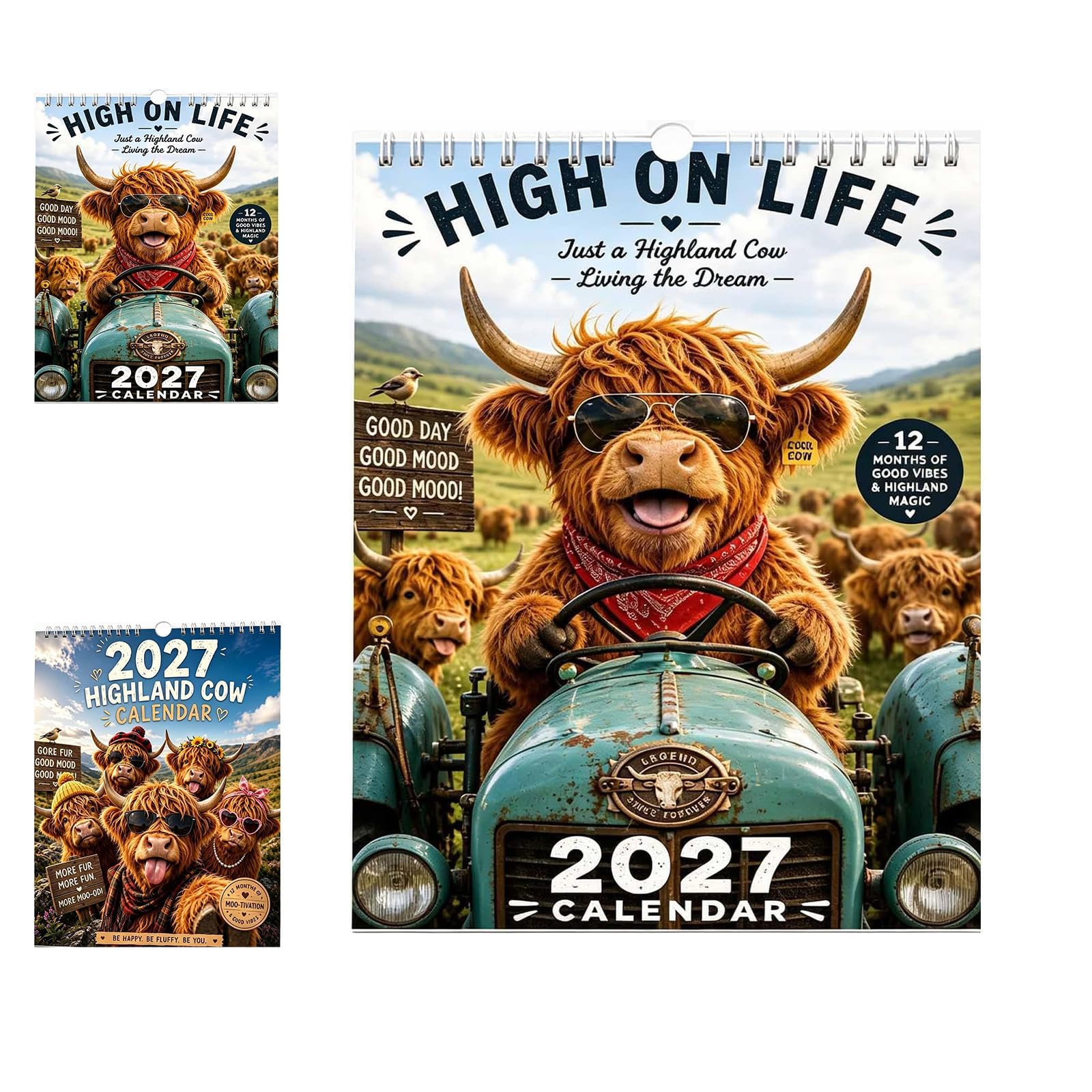 2027 Funny Highland Cow Wall Calendar for Home, Office or Kitchen，A：12 X 12 Inches