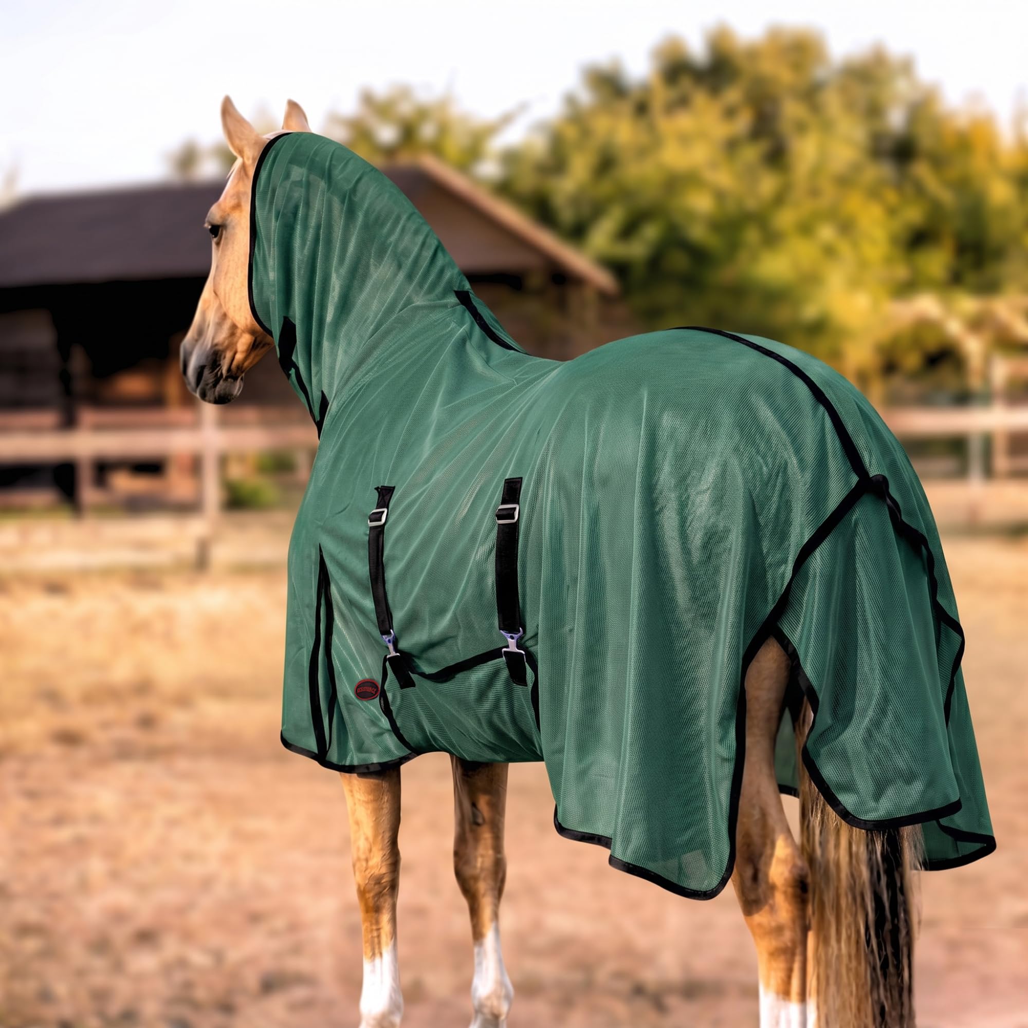 RESISTANCE Sábana para moscas de caballo con cubierta para el cuello y envoltura para el vientre, ligera, transpirable, protección UV, para caballos, color plateado, tamaños de 68 a 82 pulgadas (verde